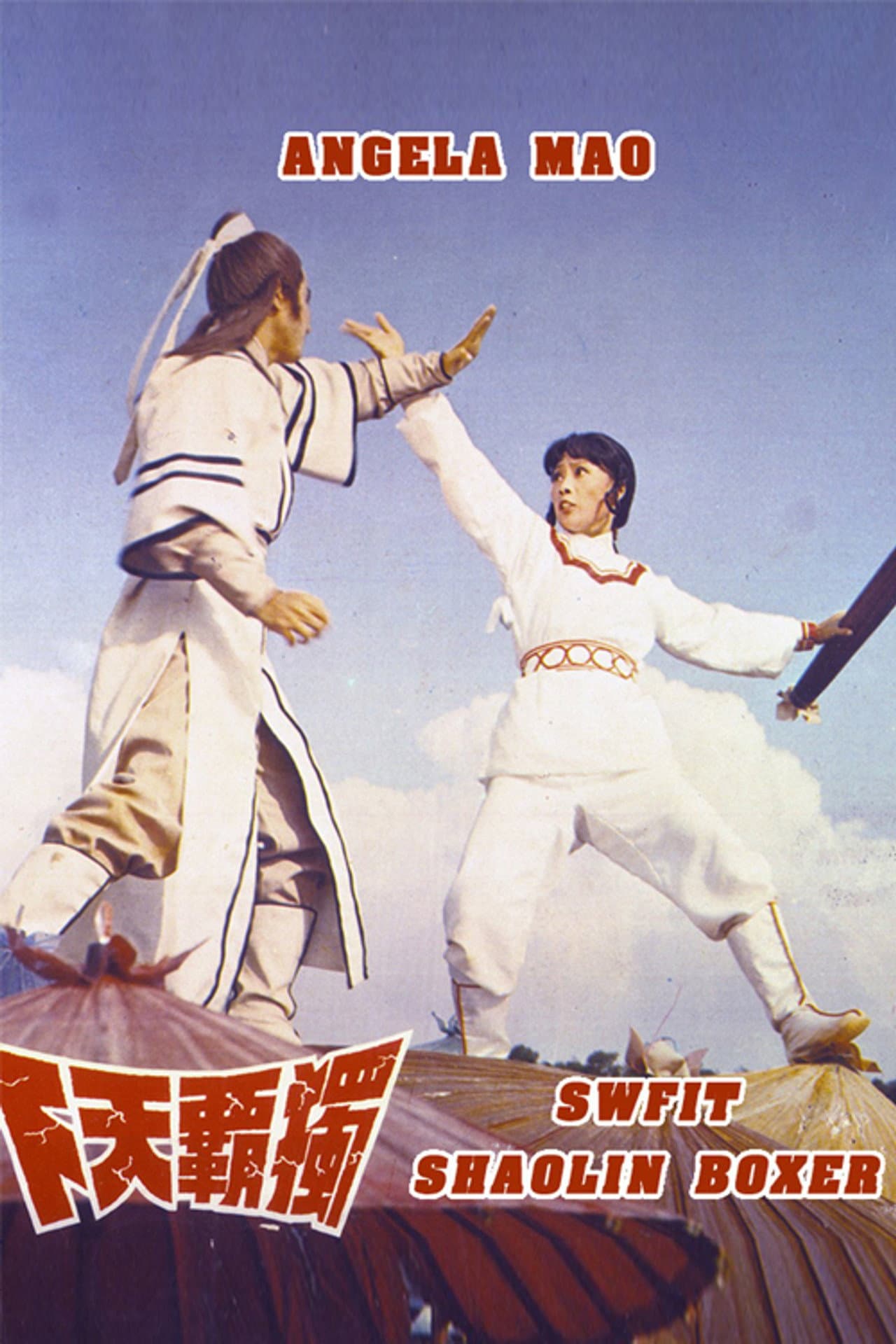 Swift Shaolin Boxer preview 1
