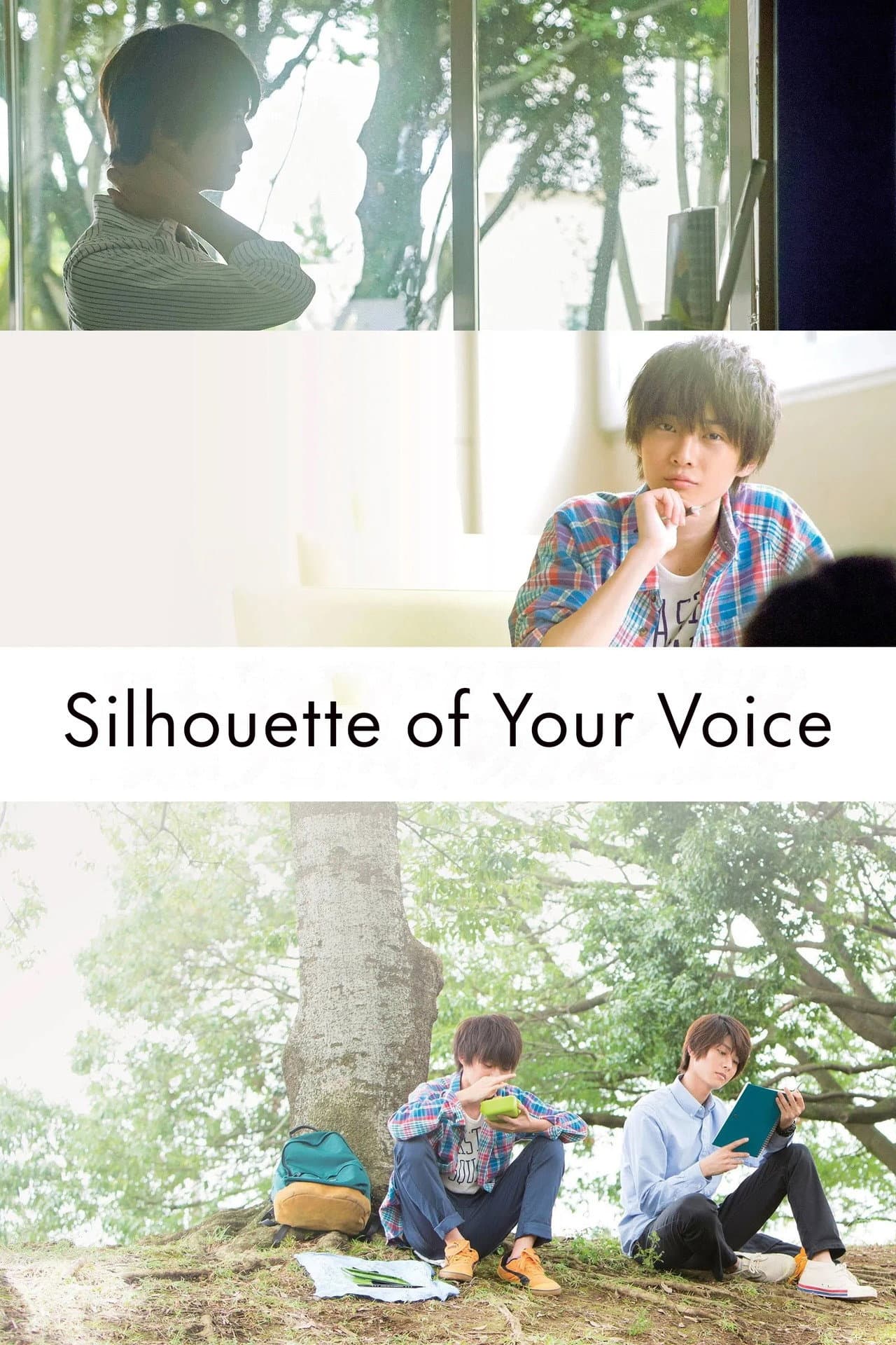 Silhouette of Your Voice preview 2