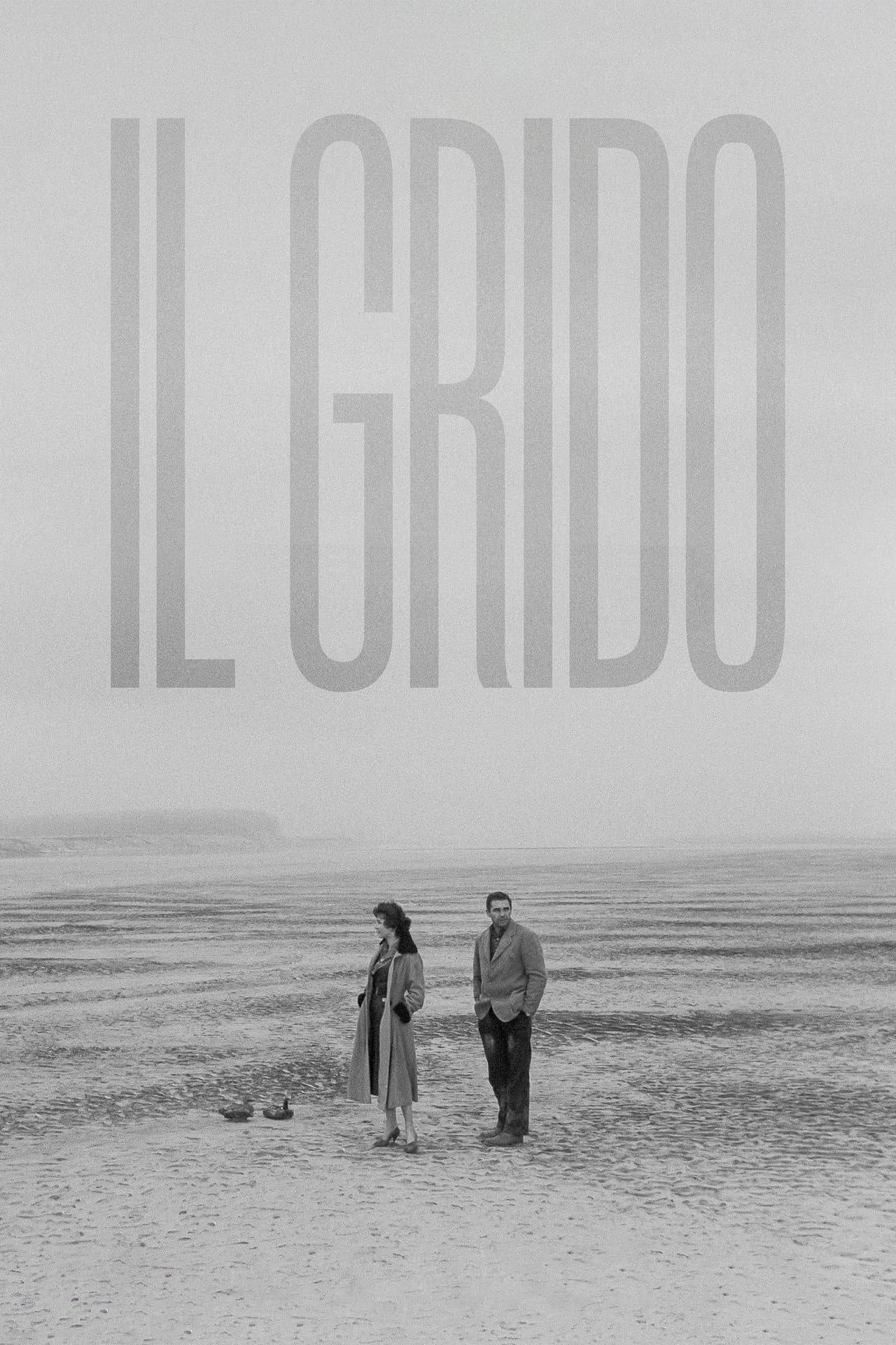 Il Grido preview 2