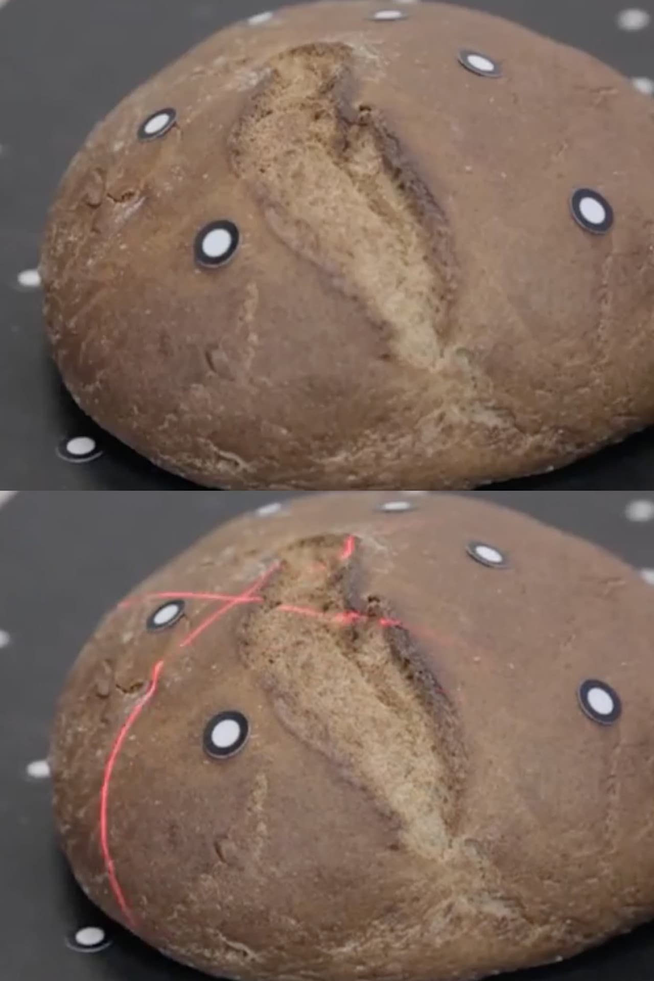Bread. Gene preview 1