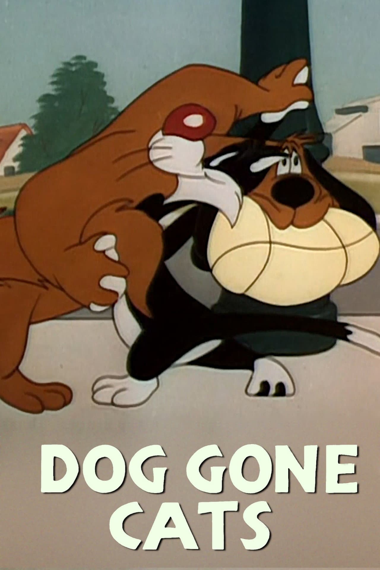 Doggone Cats preview 2