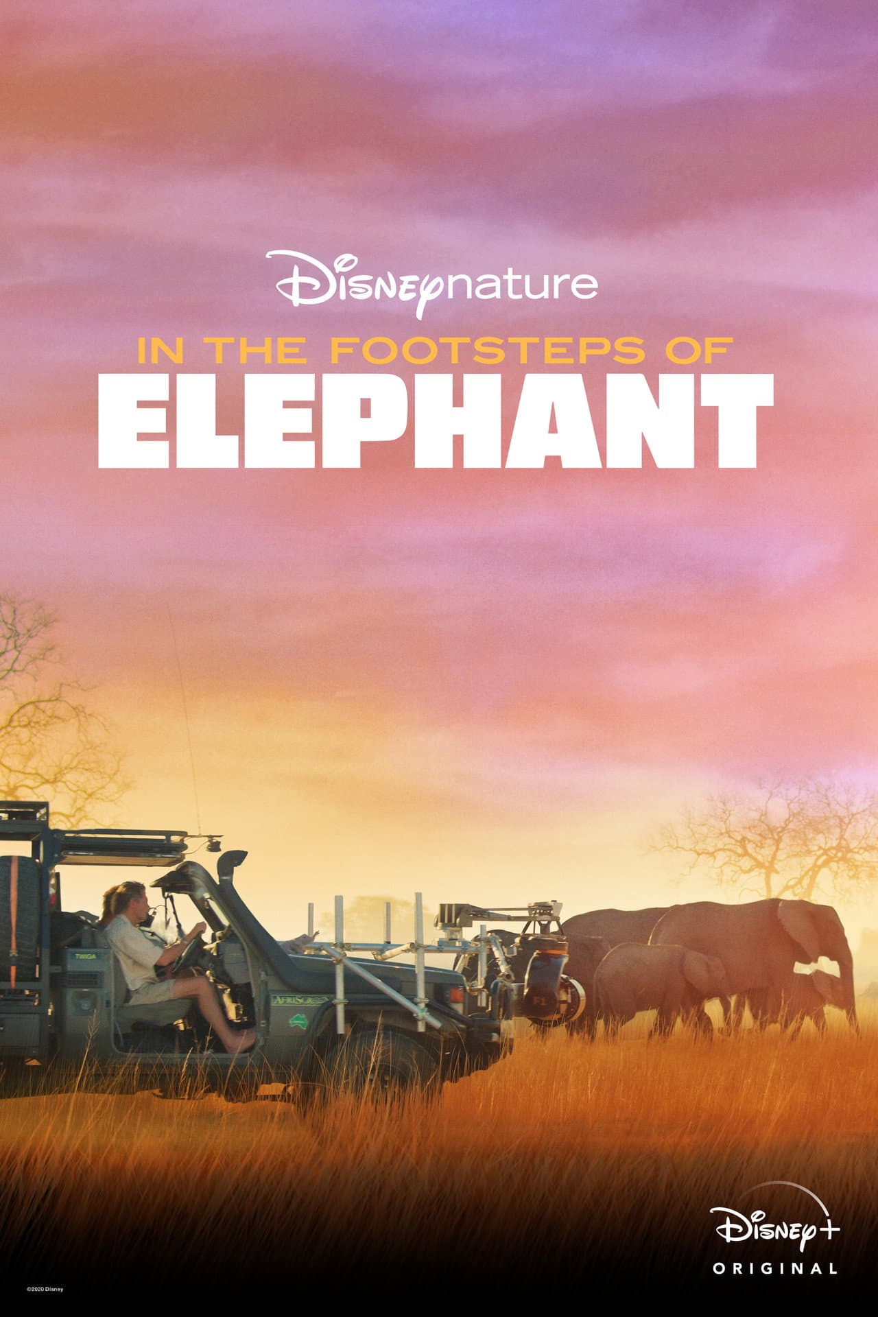 In the Footsteps of Elephant preview 2