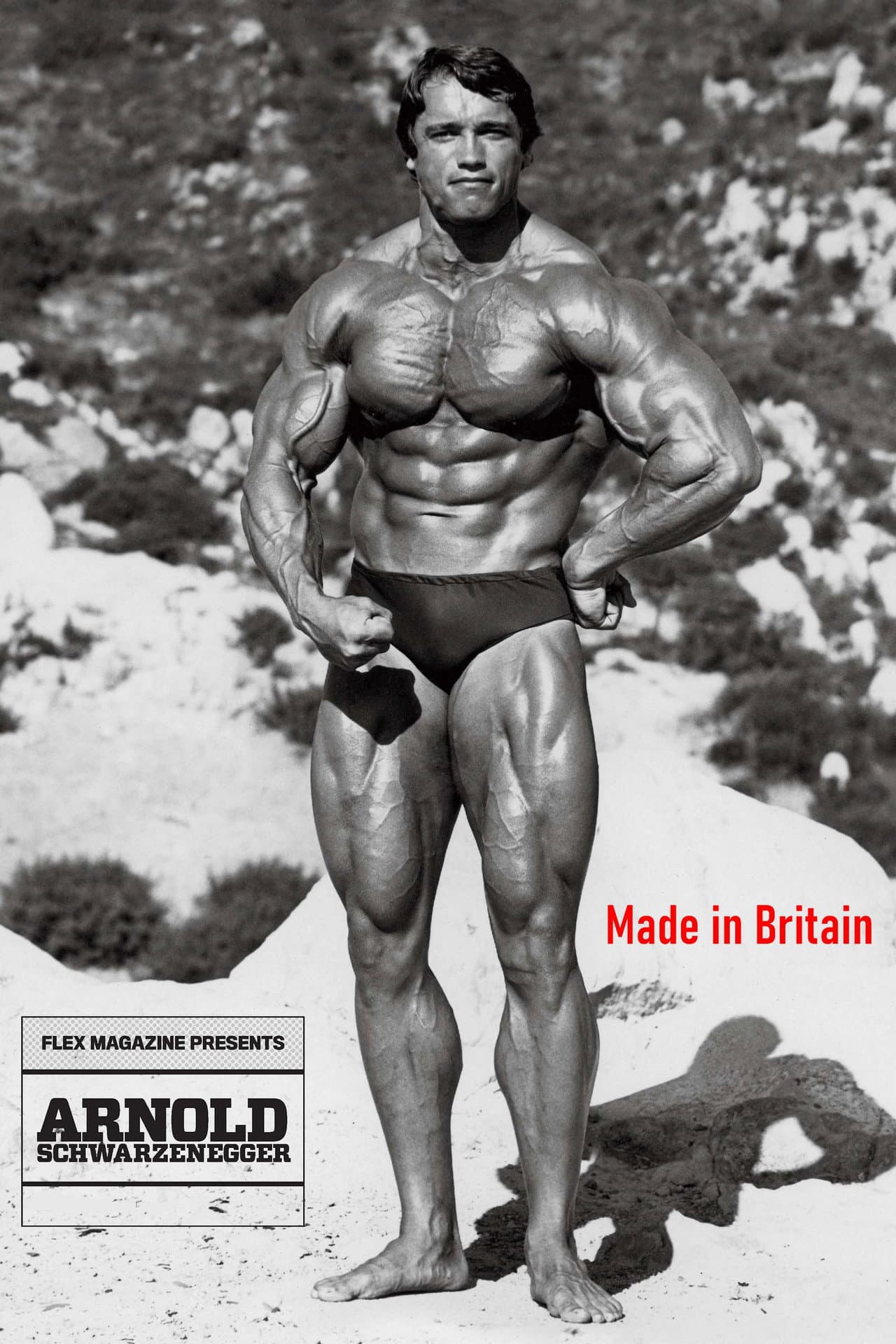 Arnold: Made in Britain preview 1