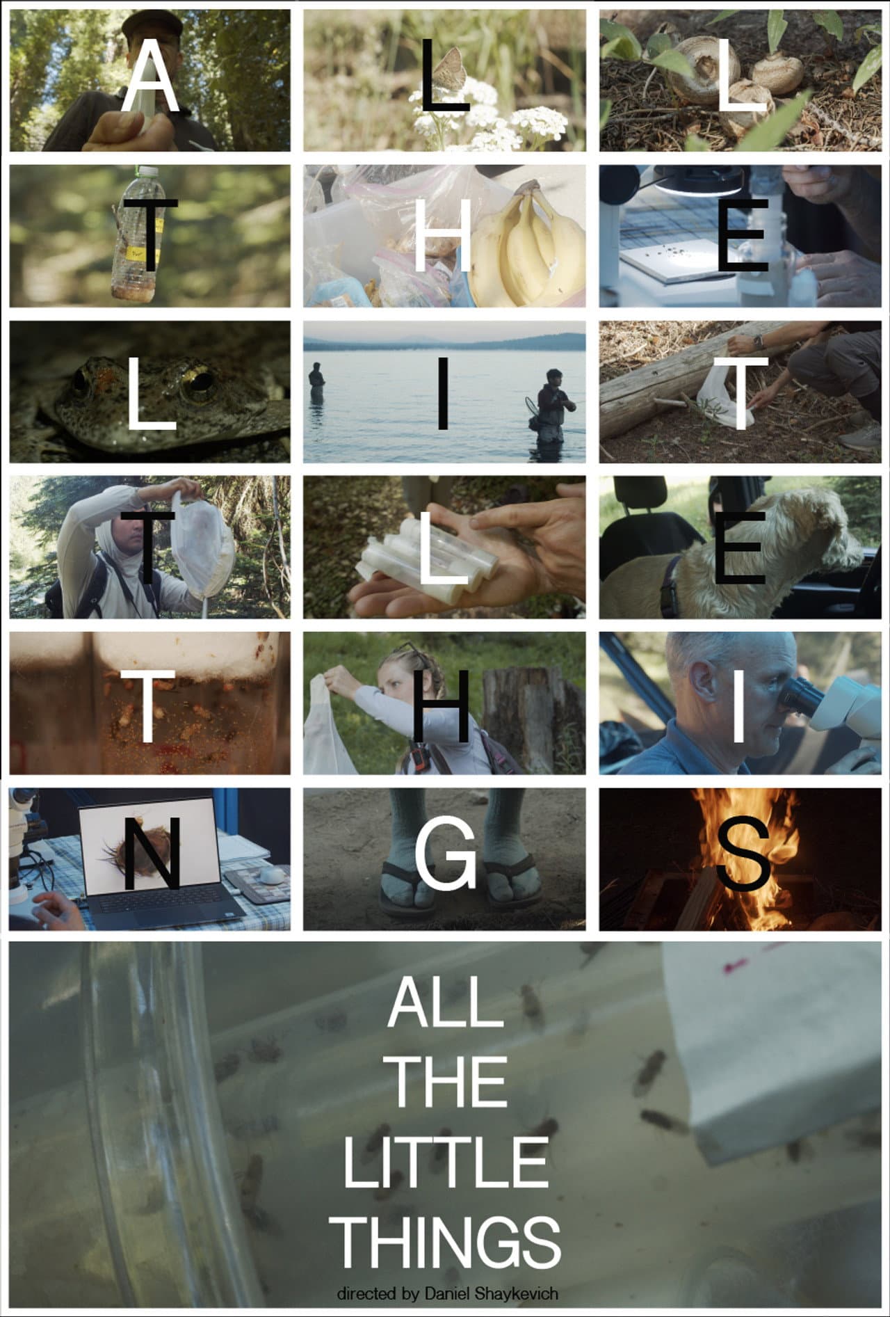All the Little Things preview 1