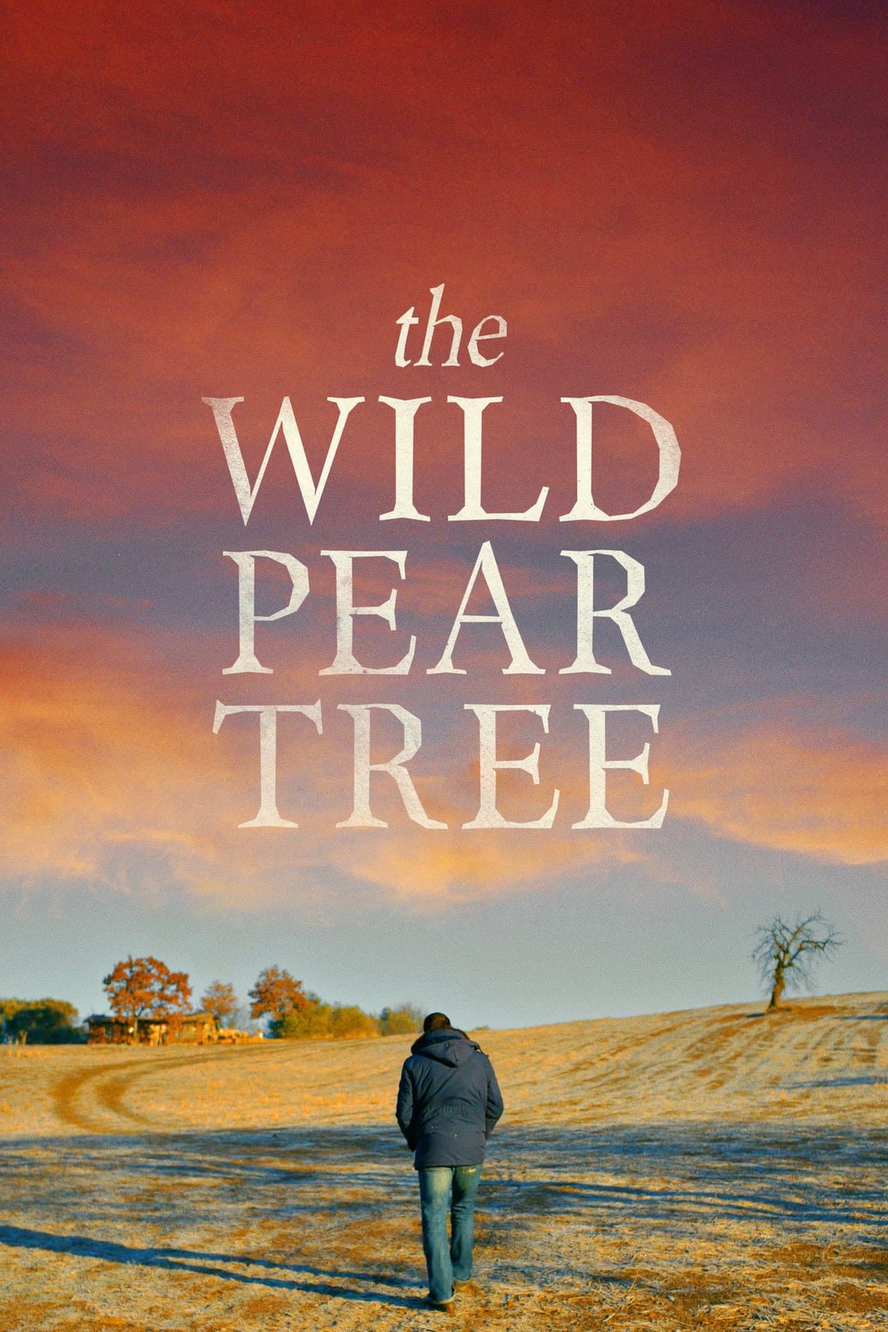 The Wild Pear Tree preview 2