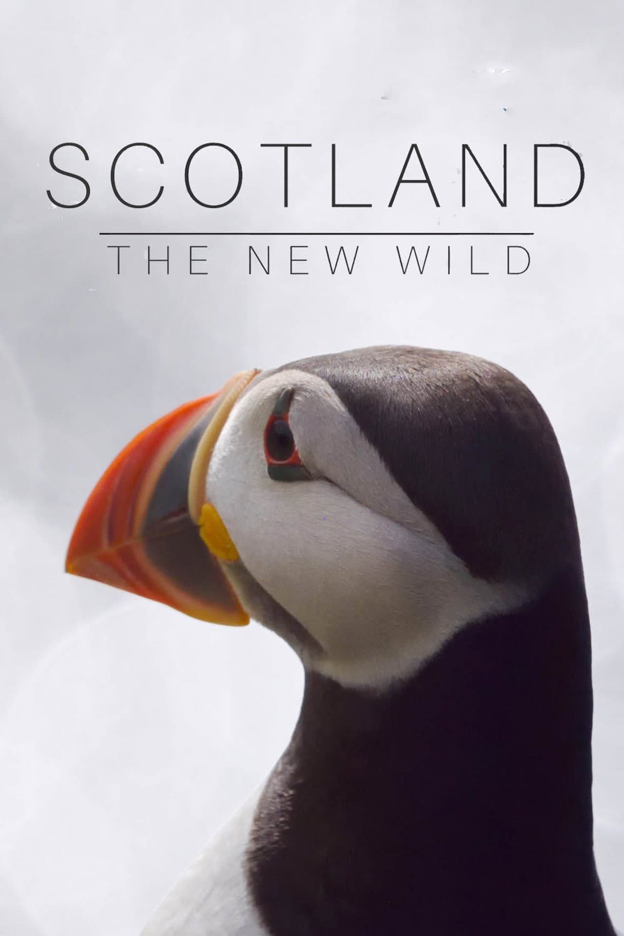Scotland: The New Wild preview 2
