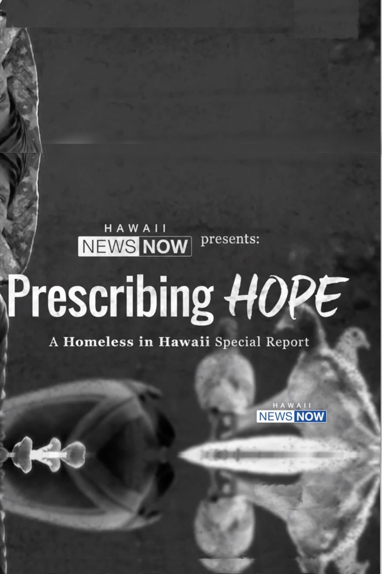 Prescribing Hope: A Homeless in Hawaii Special Report preview 1