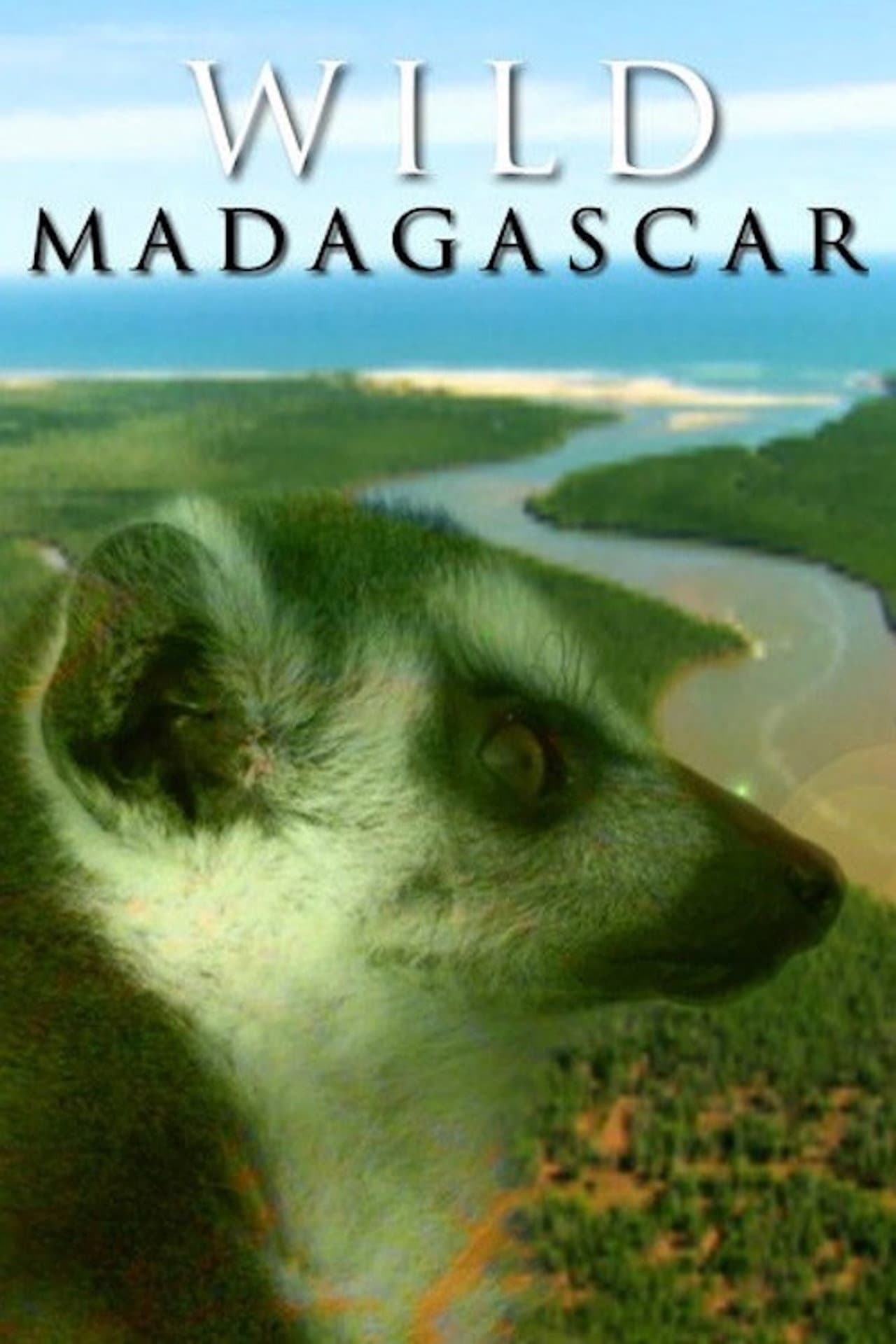 Wild Madagascar preview 1
