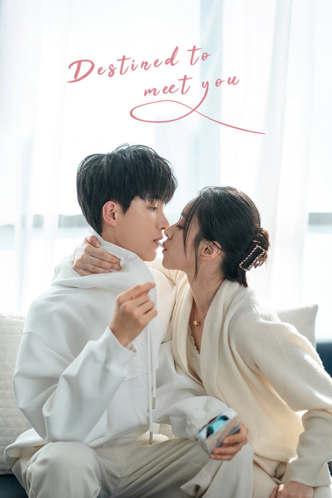 Destined to Meet You preview 2