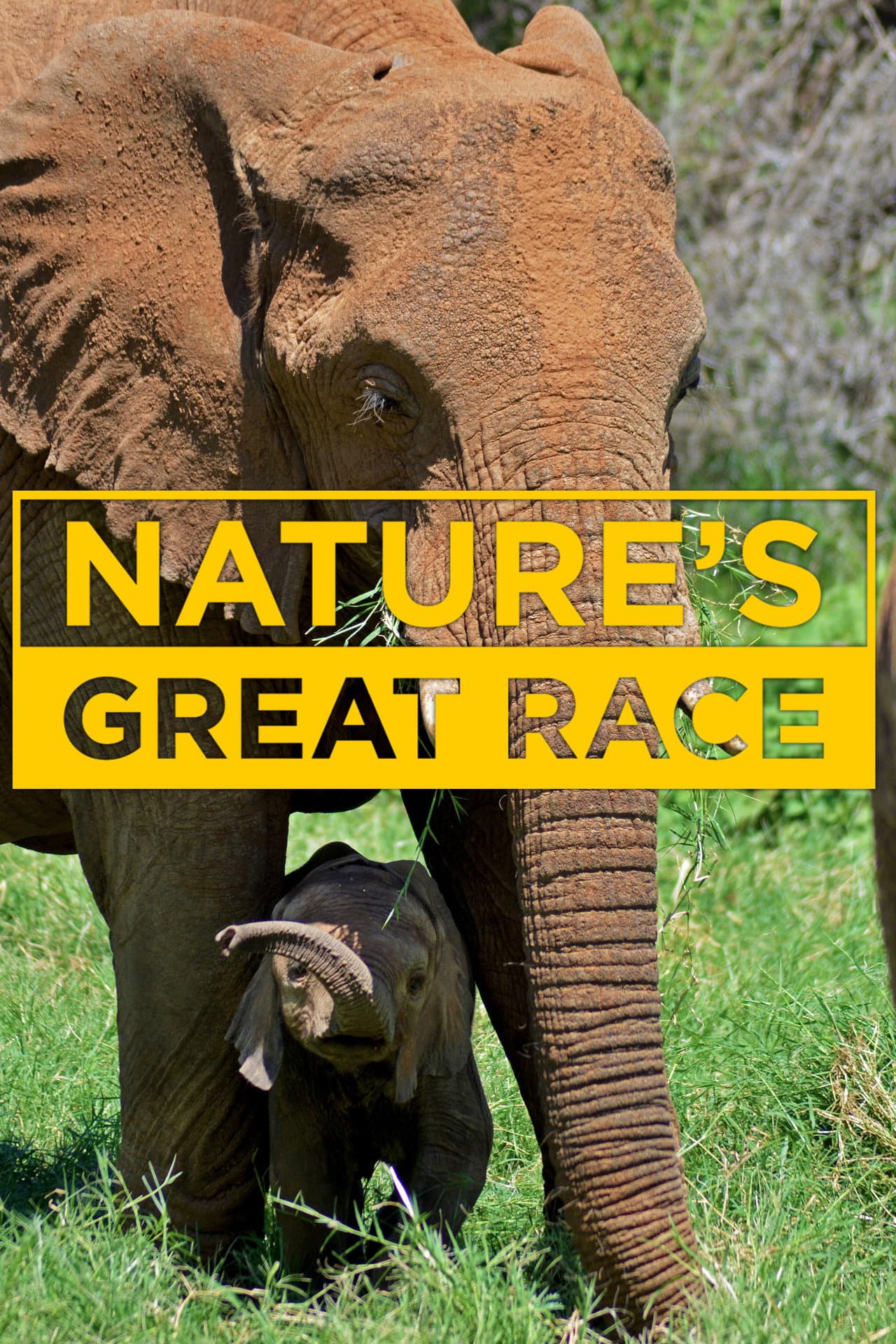 Nature's Epic Journeys preview 2