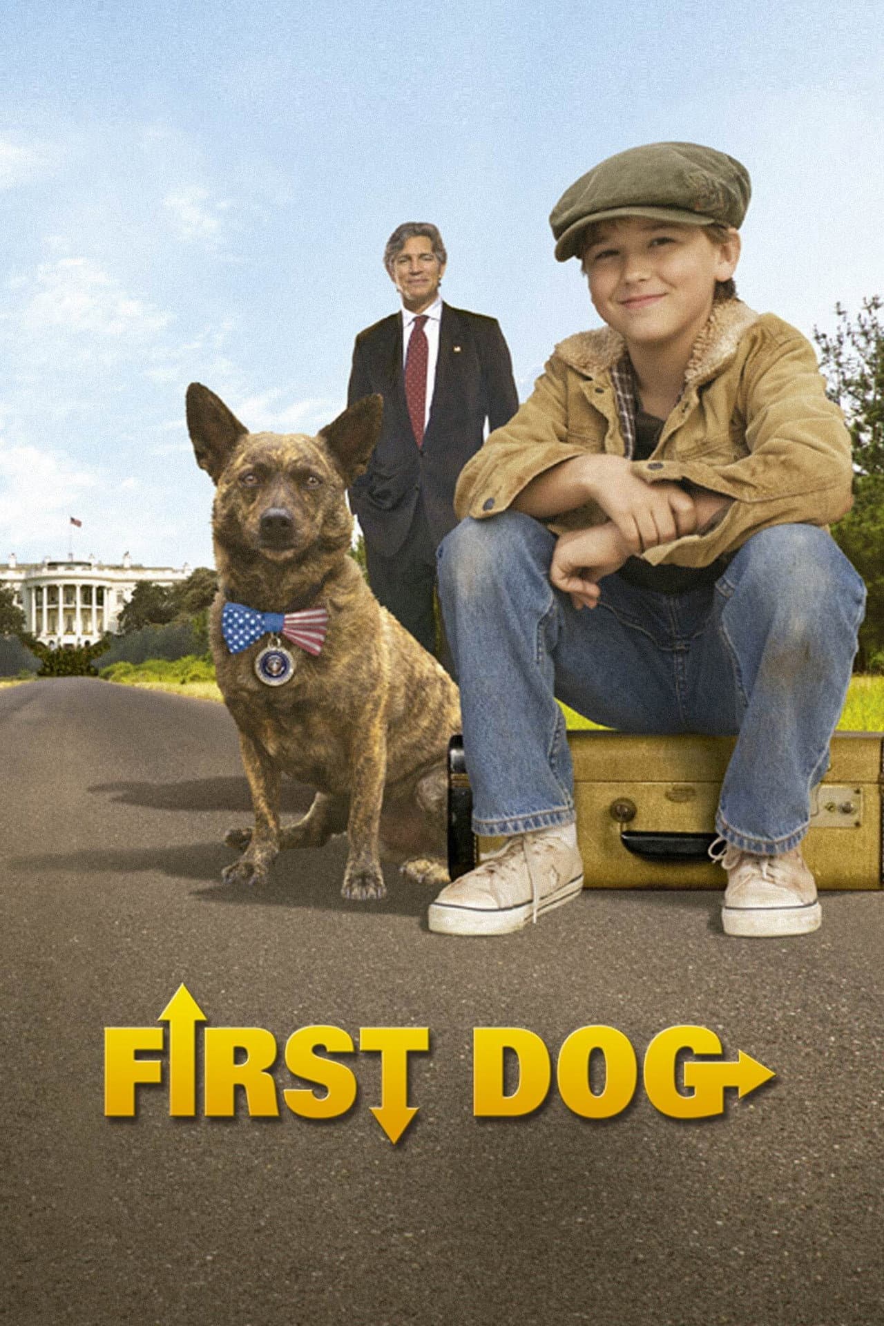 First Dog preview 2