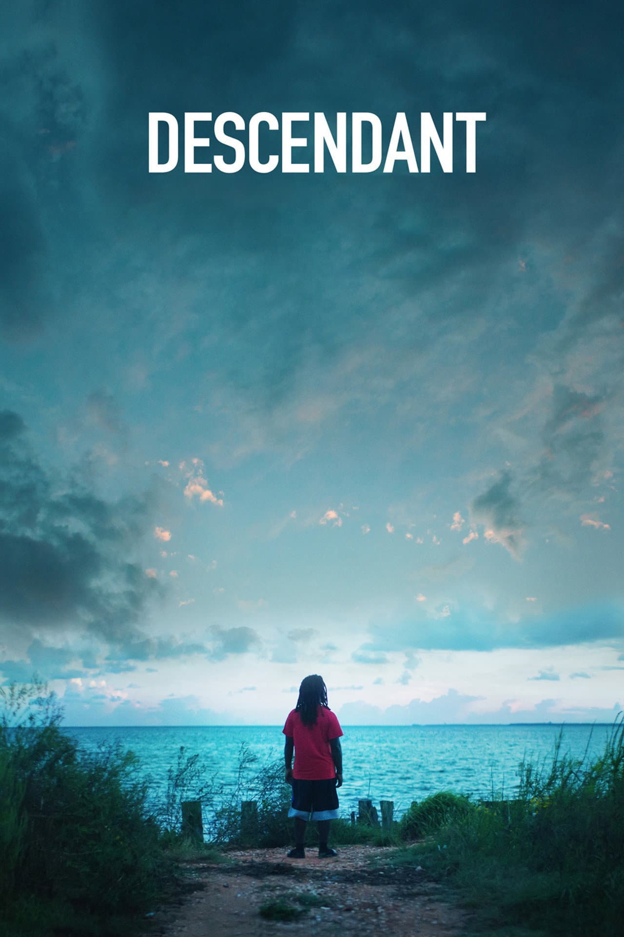 Descendant preview 2