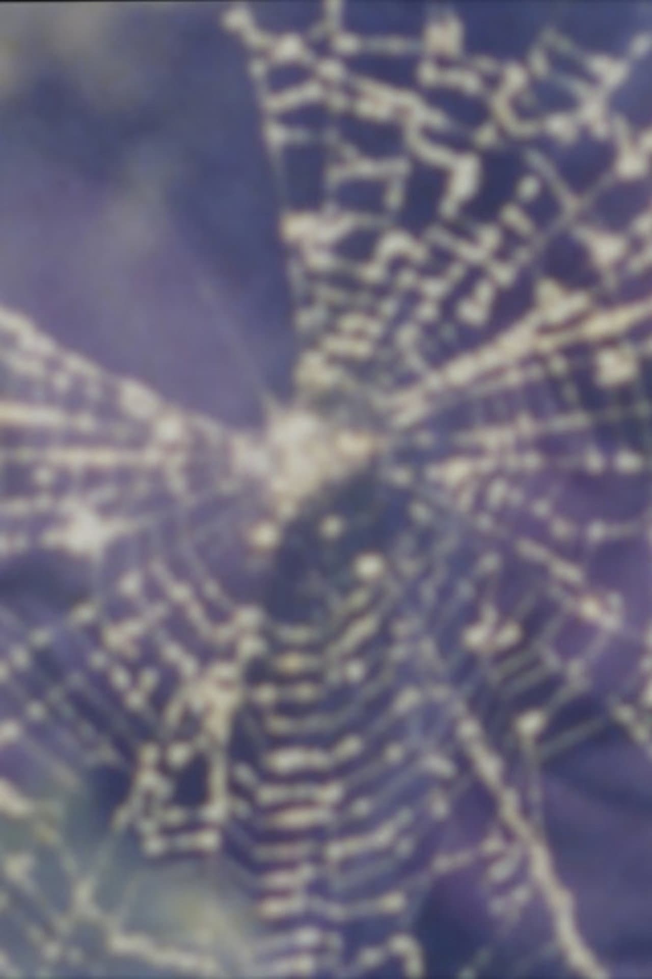 Worm and Web Love preview 1