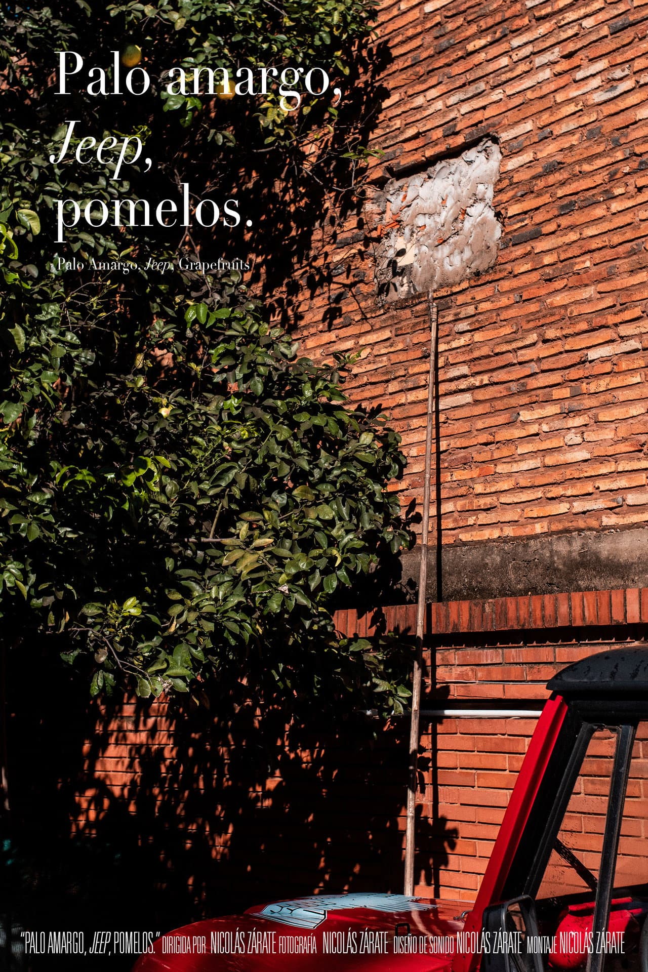 Palo Amargo, Jeep, Grapefruits preview 2
