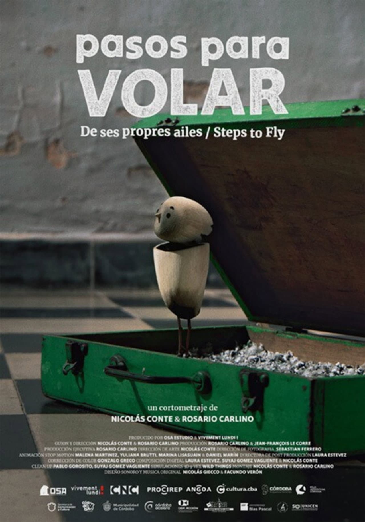 Steps to Fly preview 2