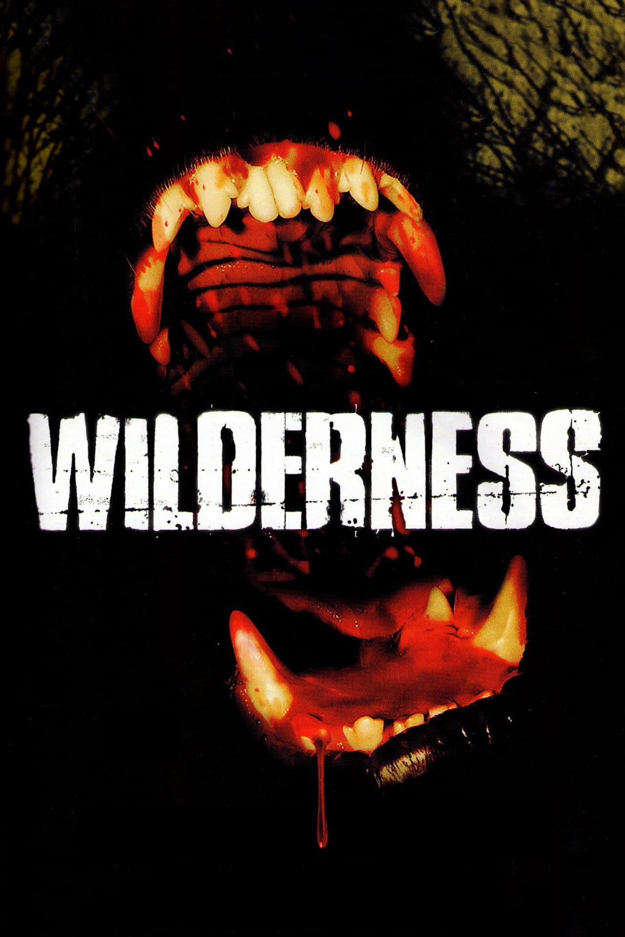Wilderness preview 2