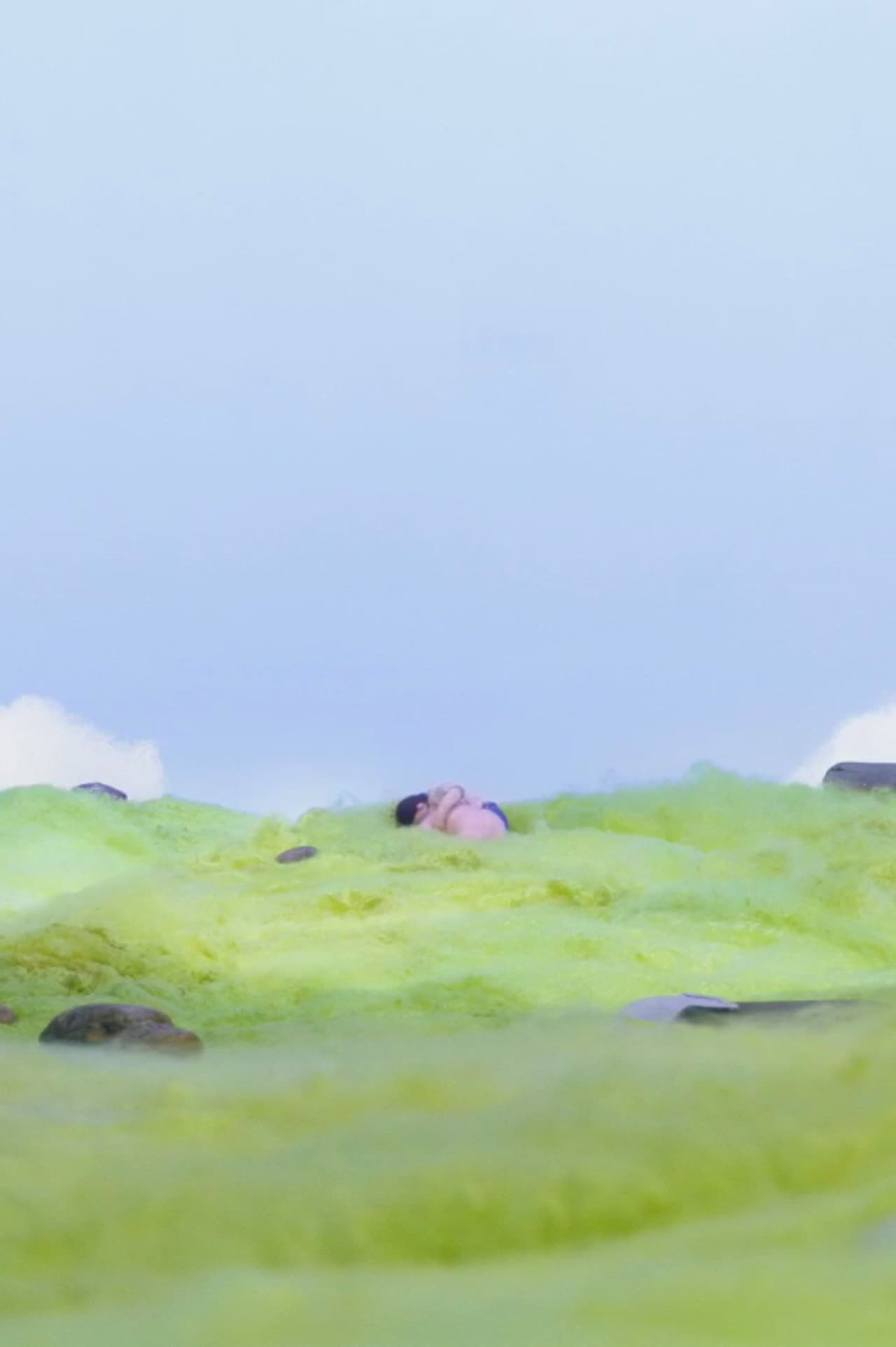 O the Grass Was Warm! preview 2