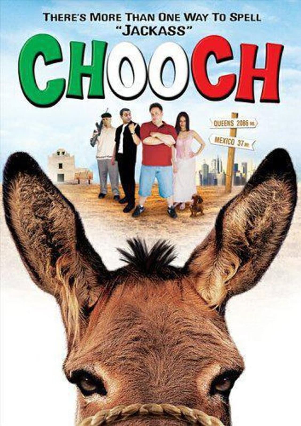 Chooch preview 1