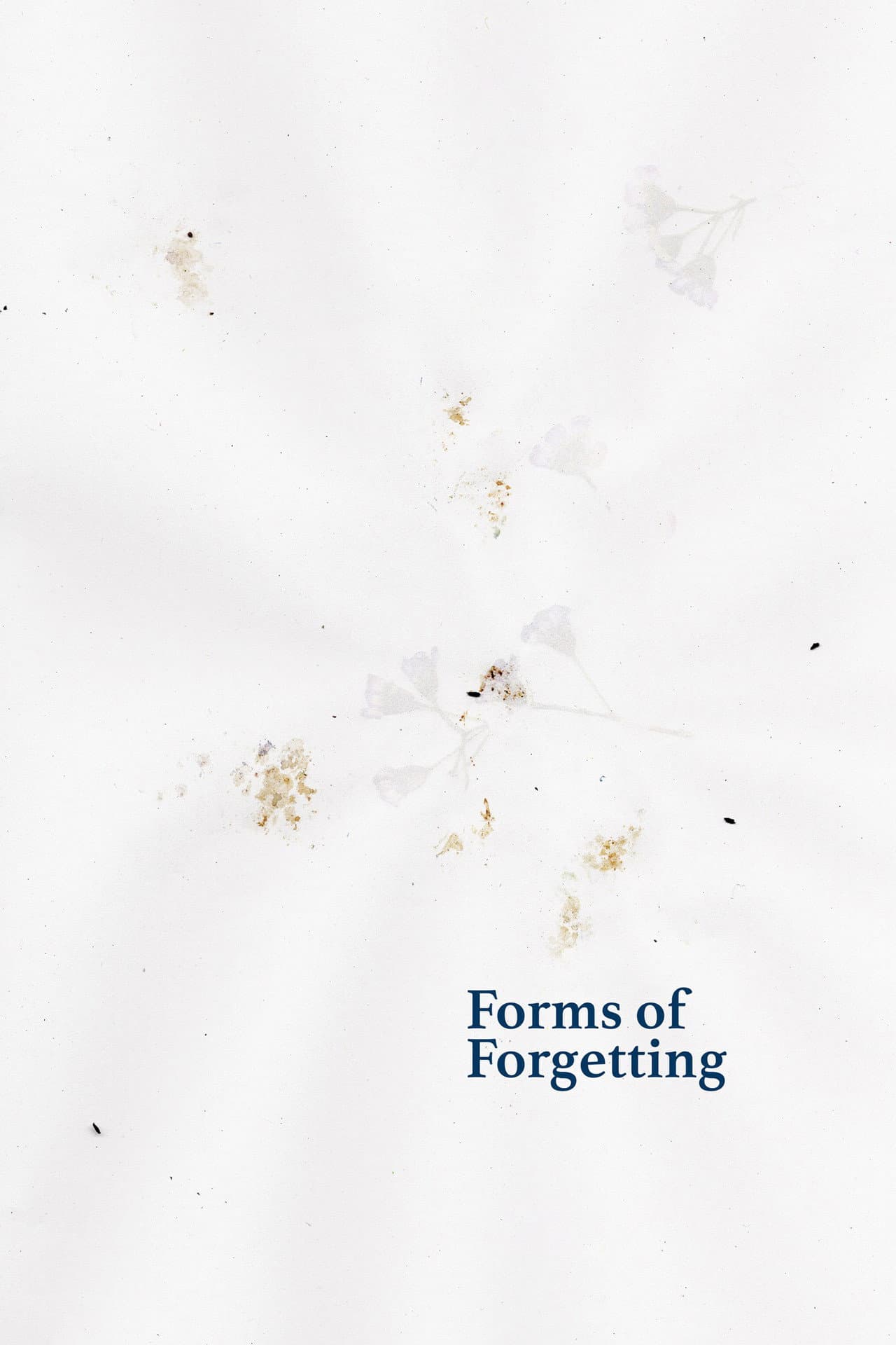 Forms of Forgetting preview 2