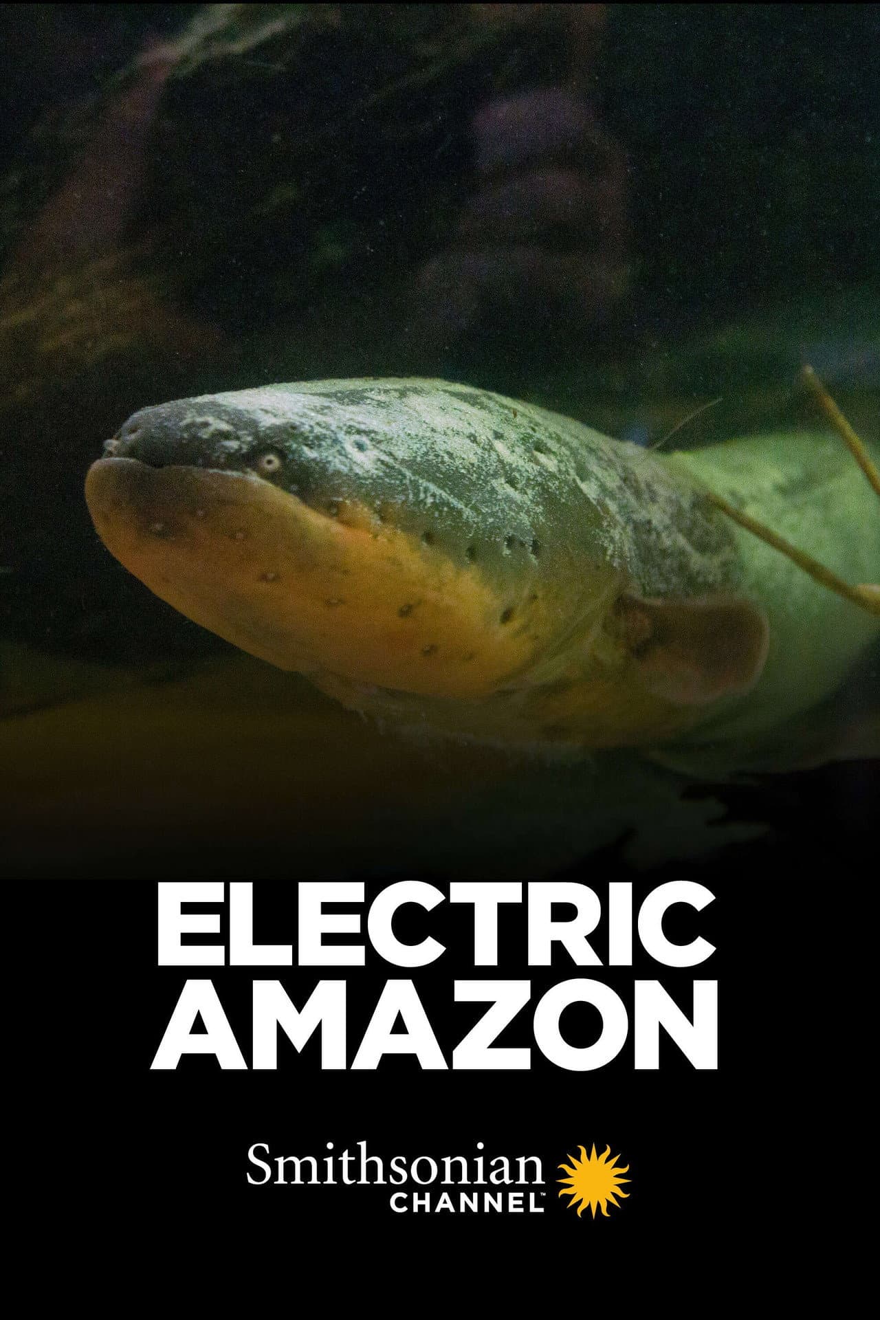 Electric Amazon preview 2