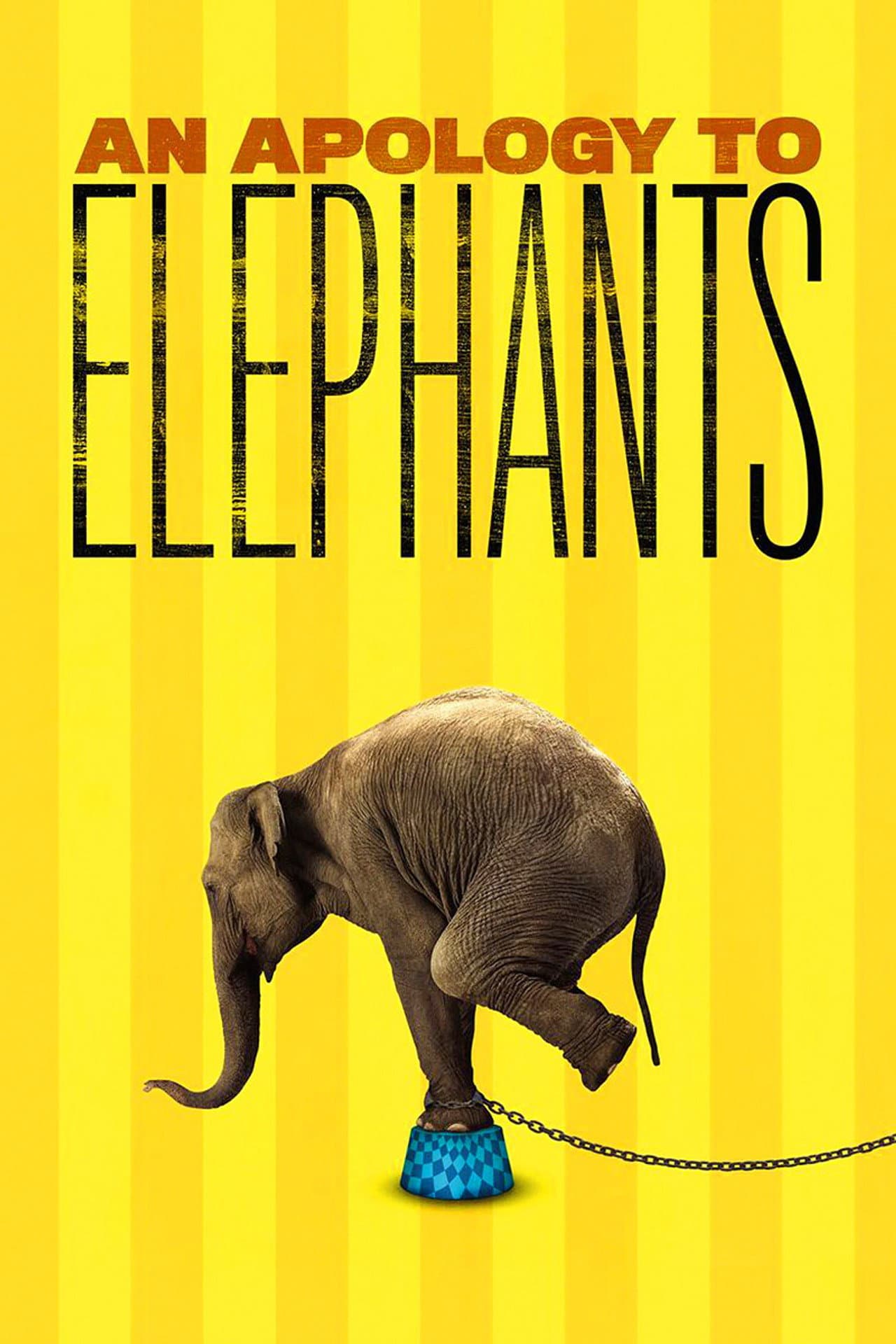 An Apology to Elephants preview 2