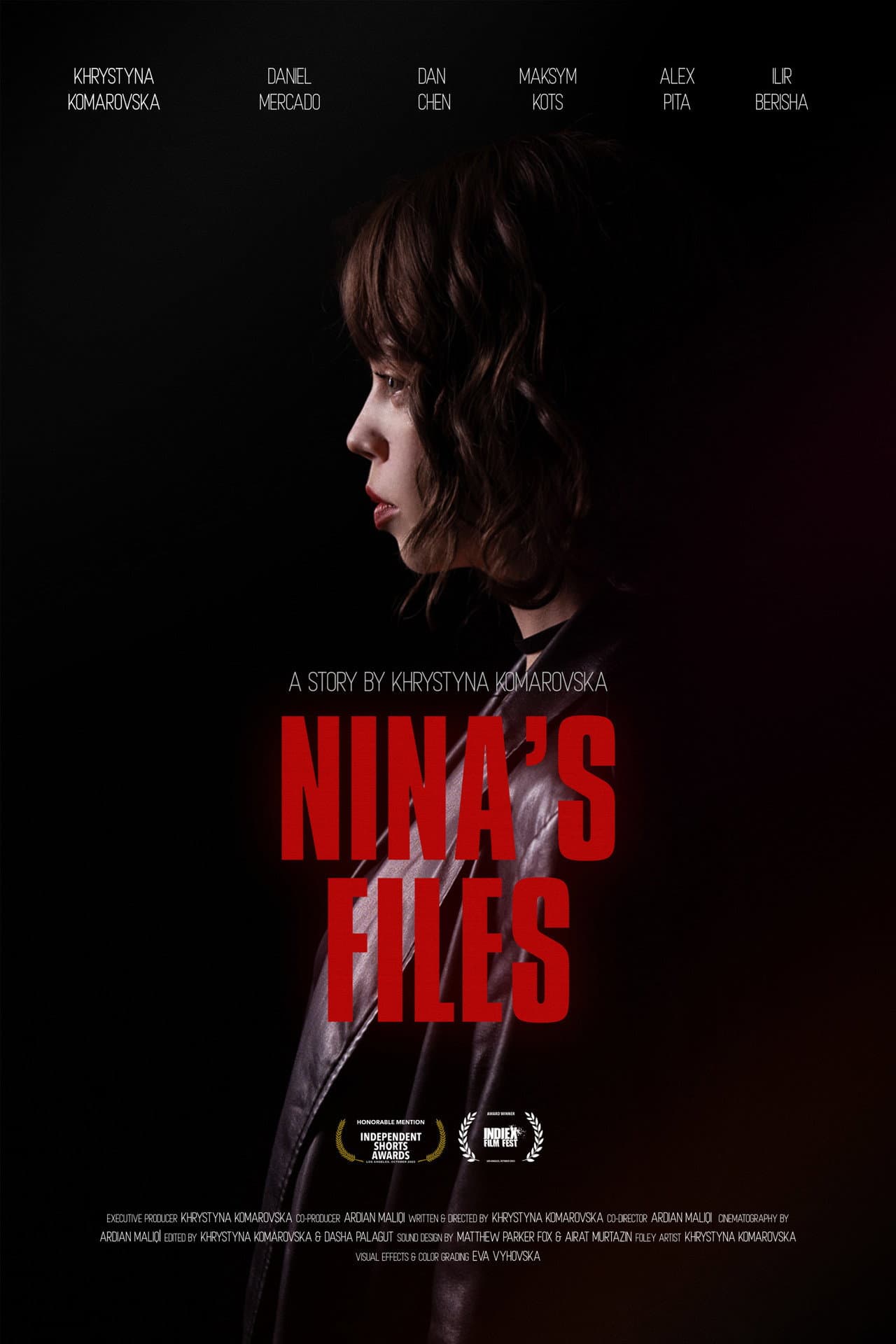 Nina's Files preview 2