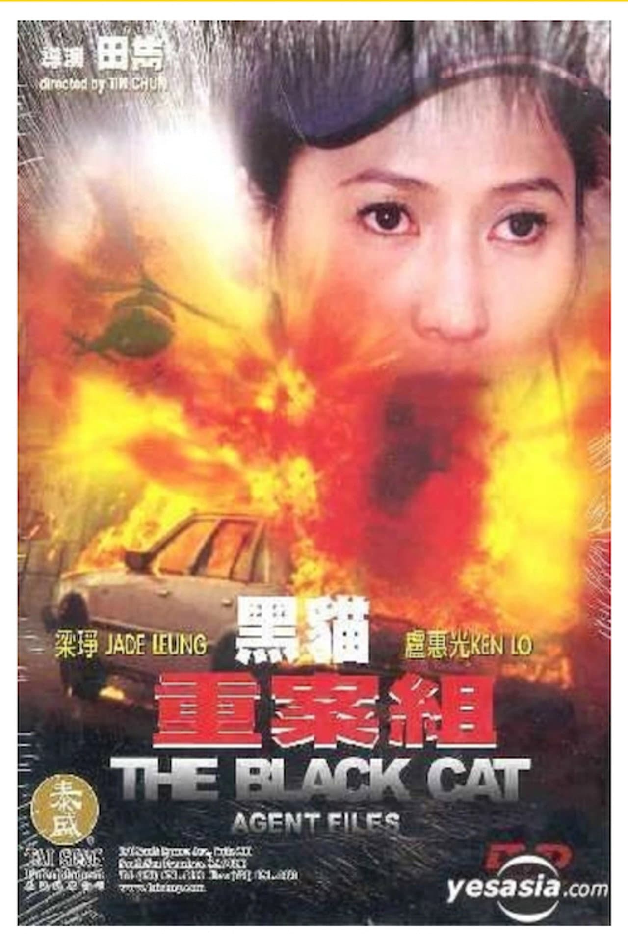 The Black Cat Agent Files preview 1