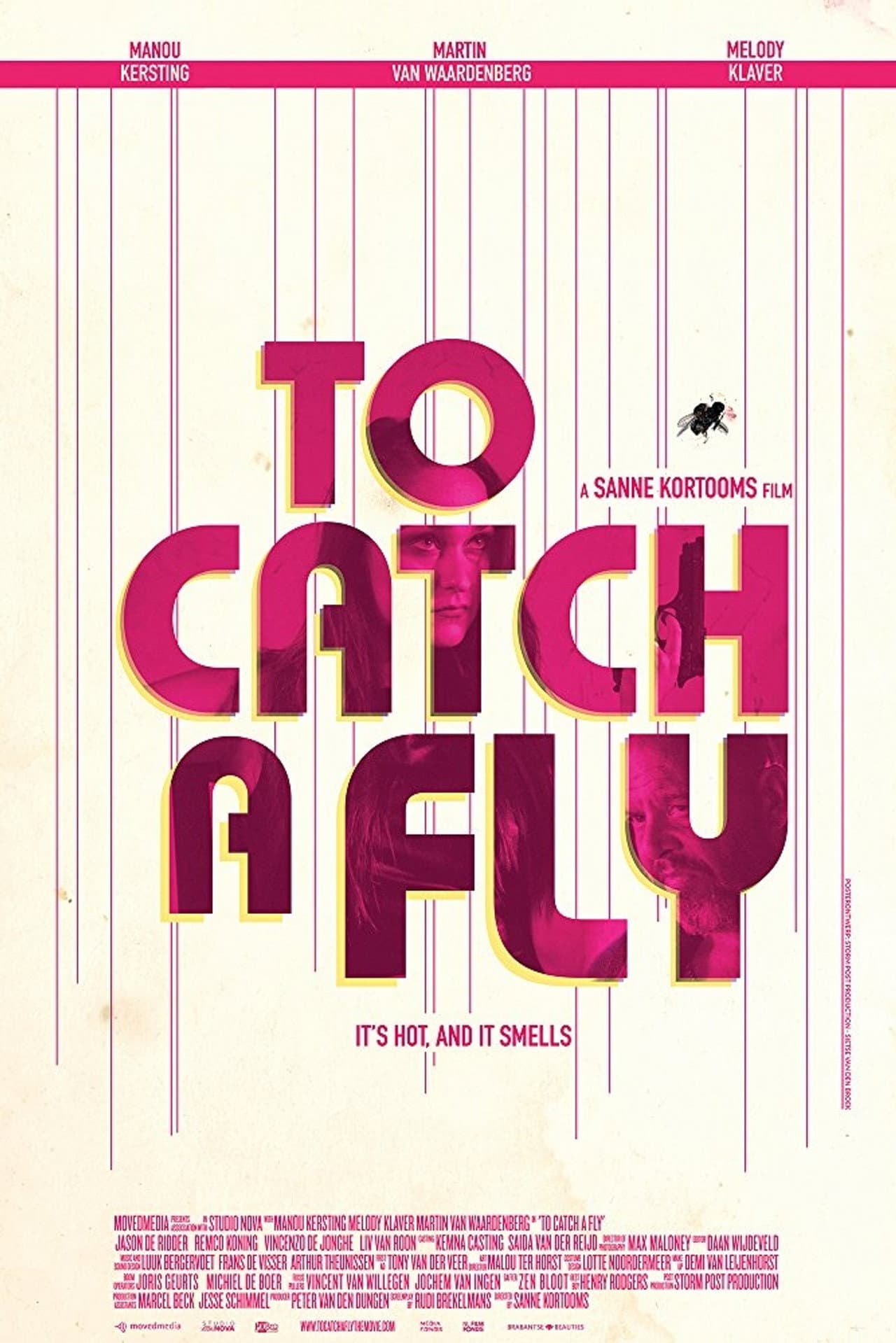 To Catch a Fly preview 2