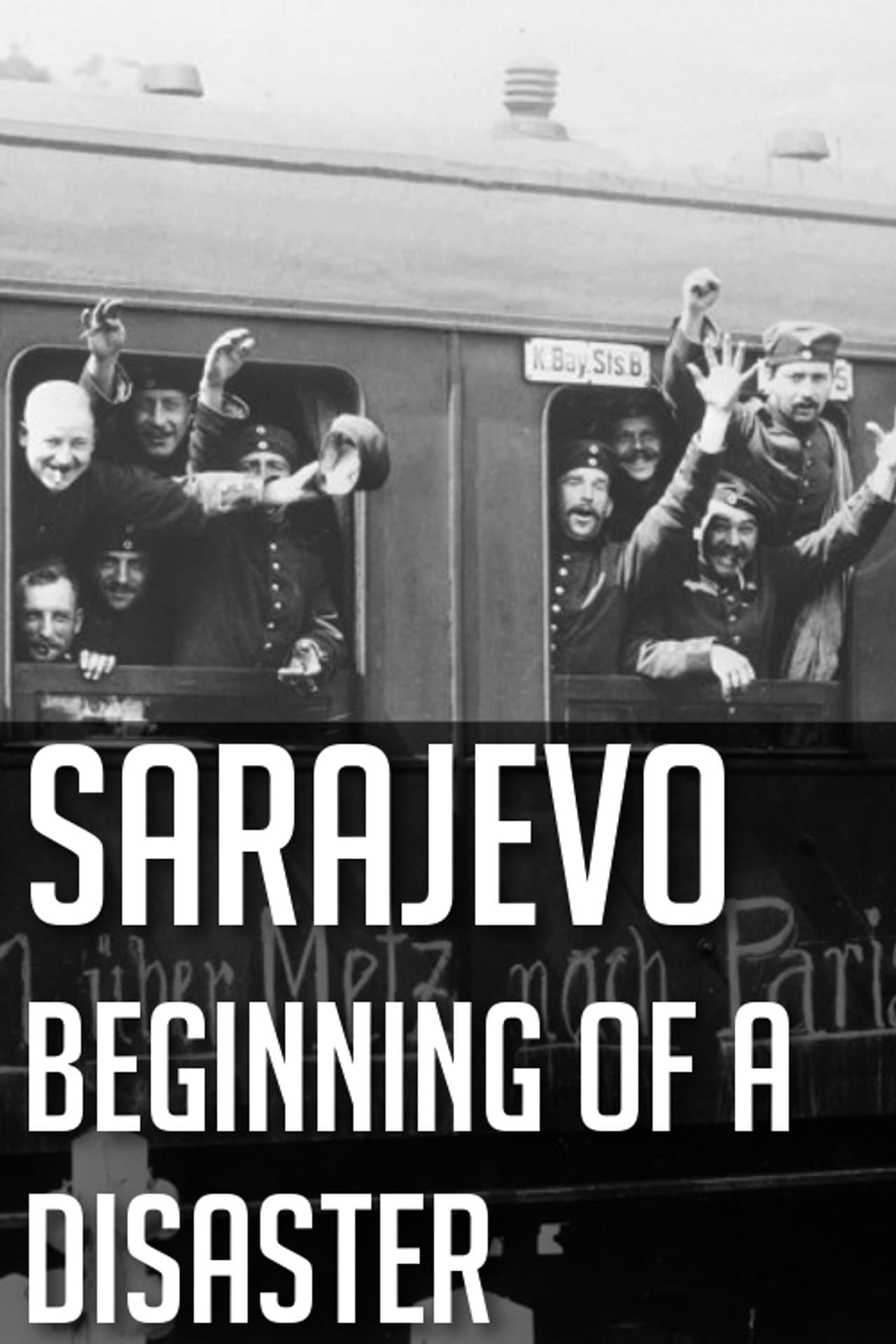 Sarajevo: Beginning of a Disaster preview 1