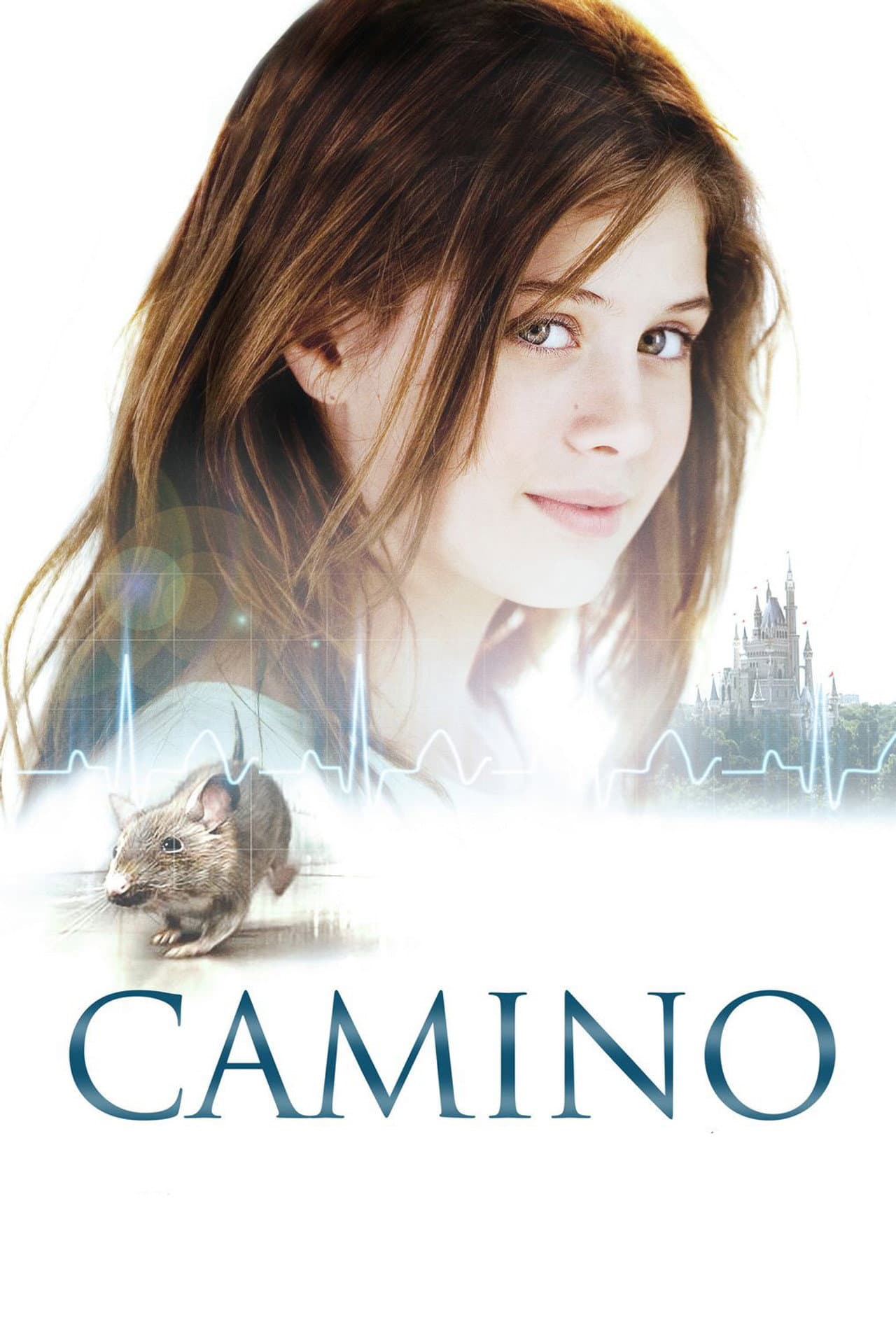 Camino preview 2