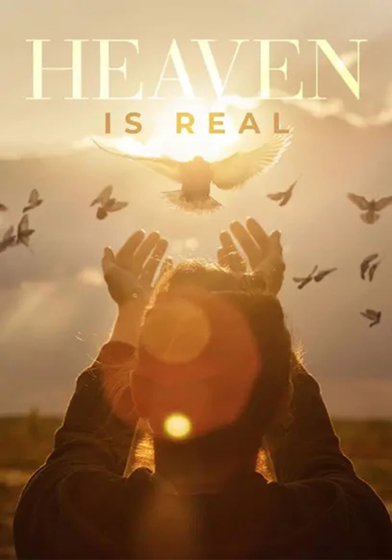 Heaven is Real preview 1
