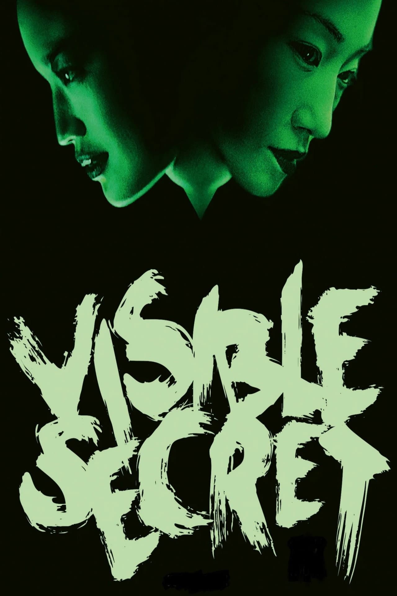 Visible Secret preview 2