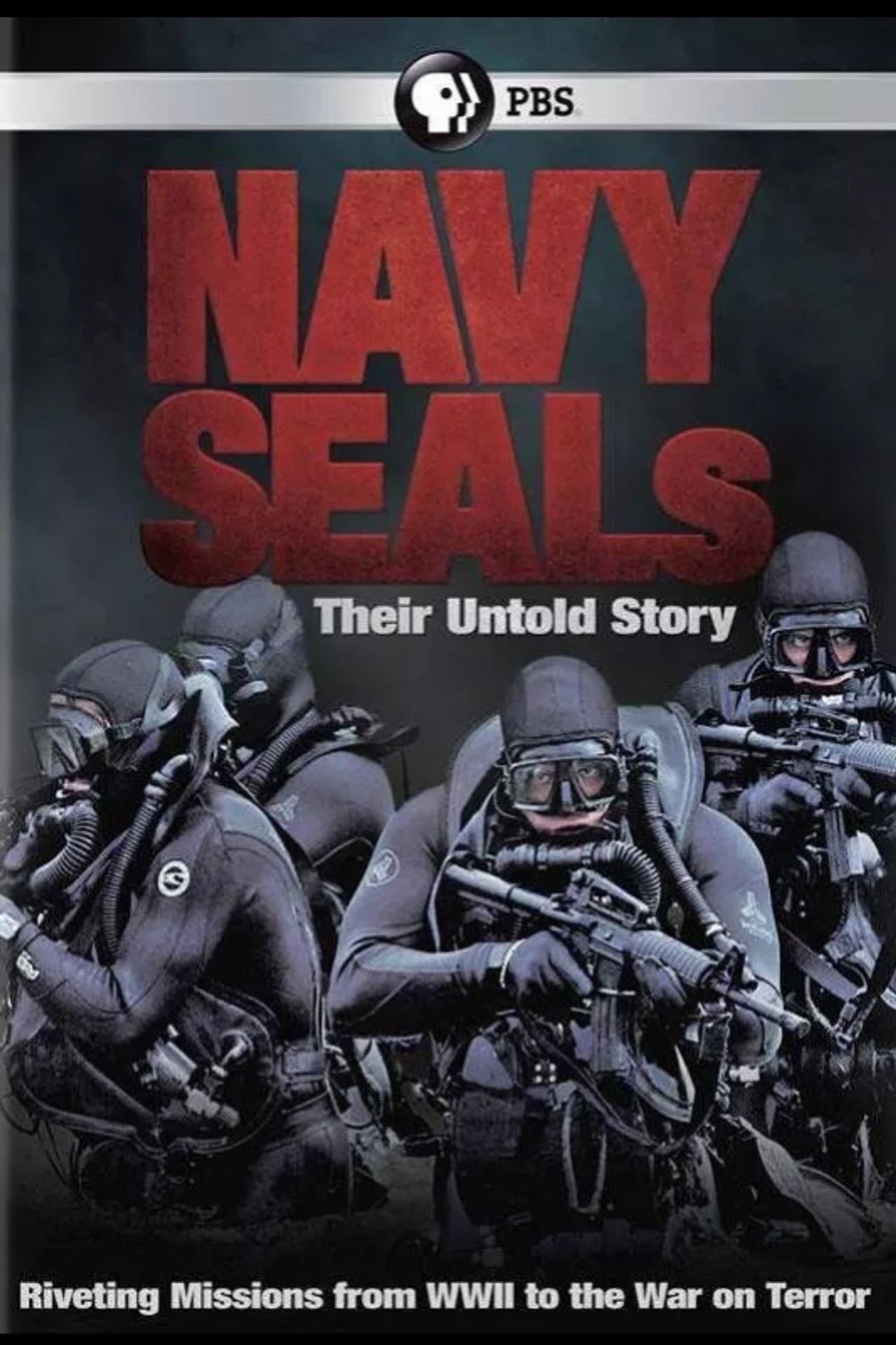 Navy SEALs: Their Untold Story preview 2