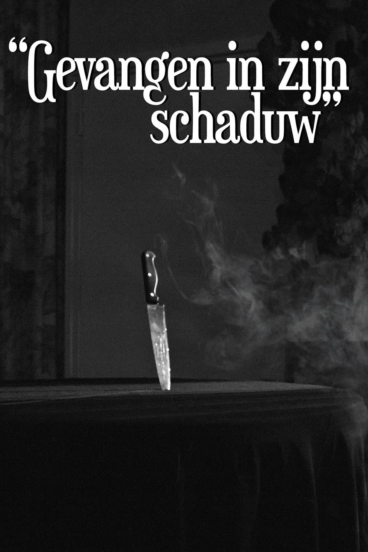 Gevangen In Zijn Schaduw preview 1