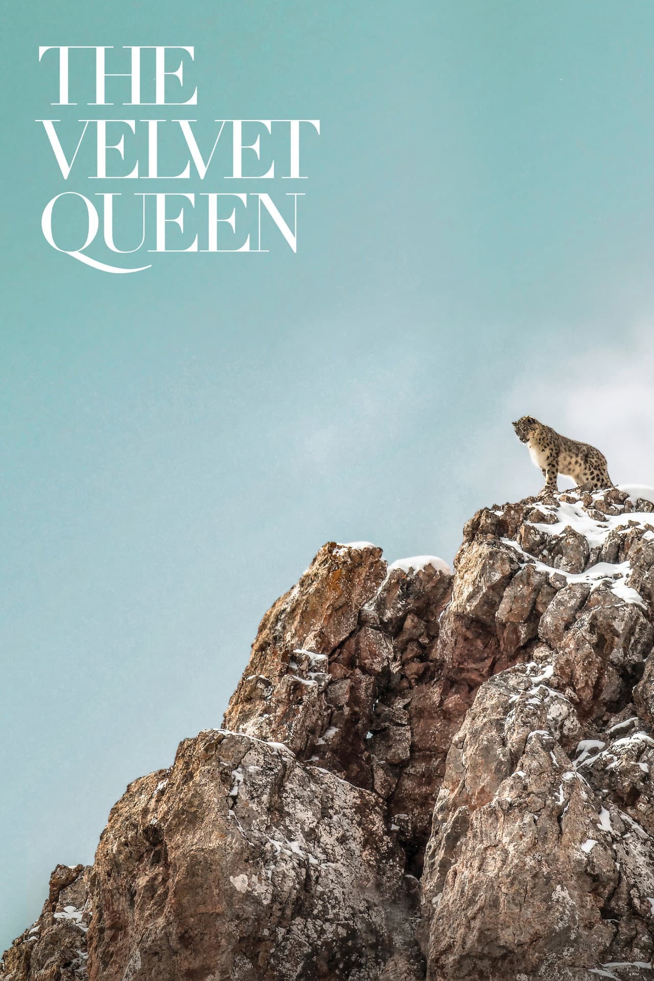 The Velvet Queen preview 2