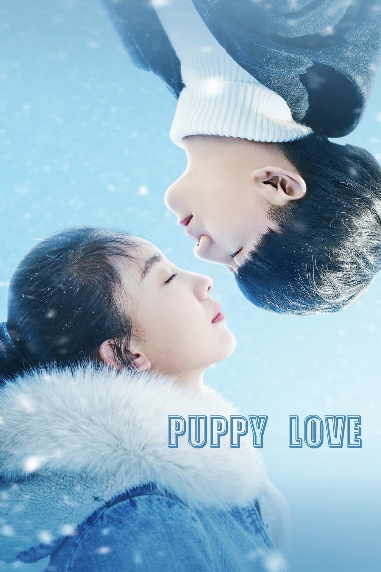 Puppy Love preview 2
