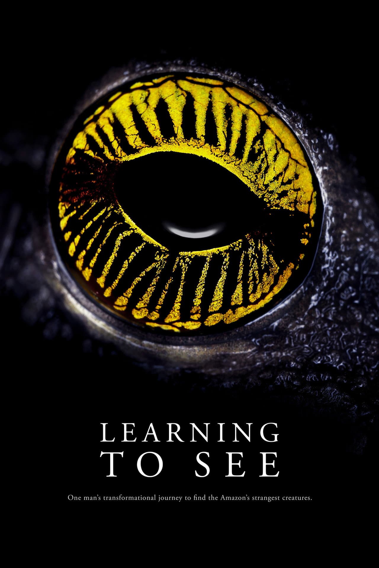 Learning To See preview 2