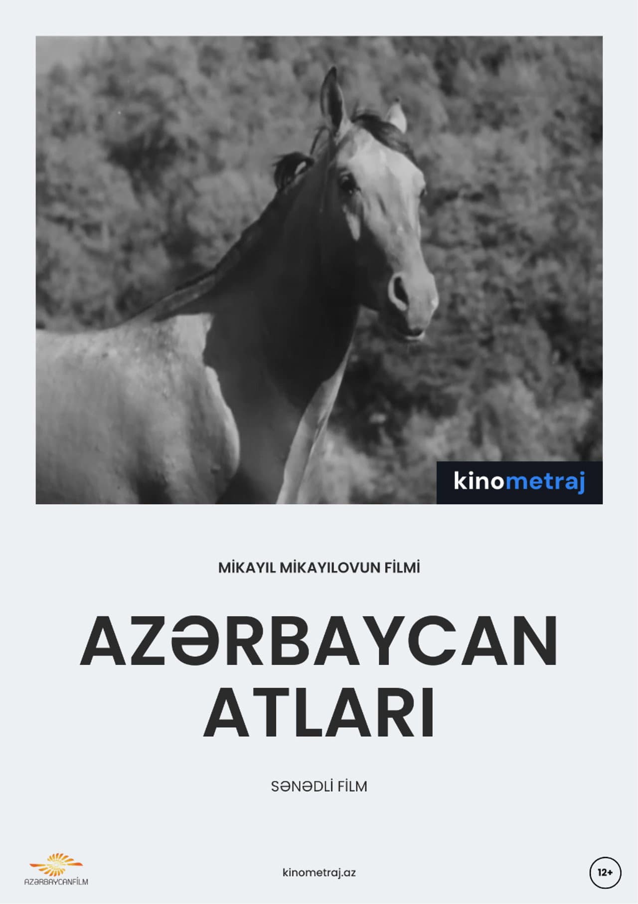 Azerbaijani Horses preview 1