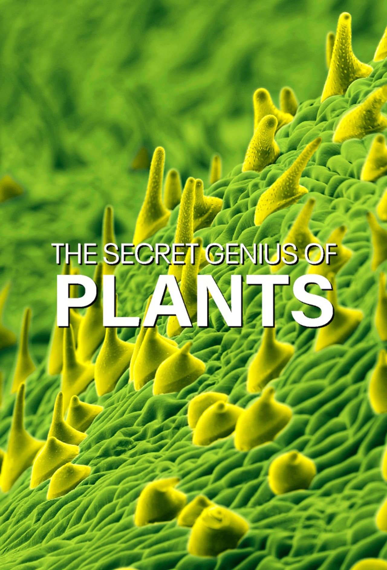 The Secret Genius of Plants preview 2