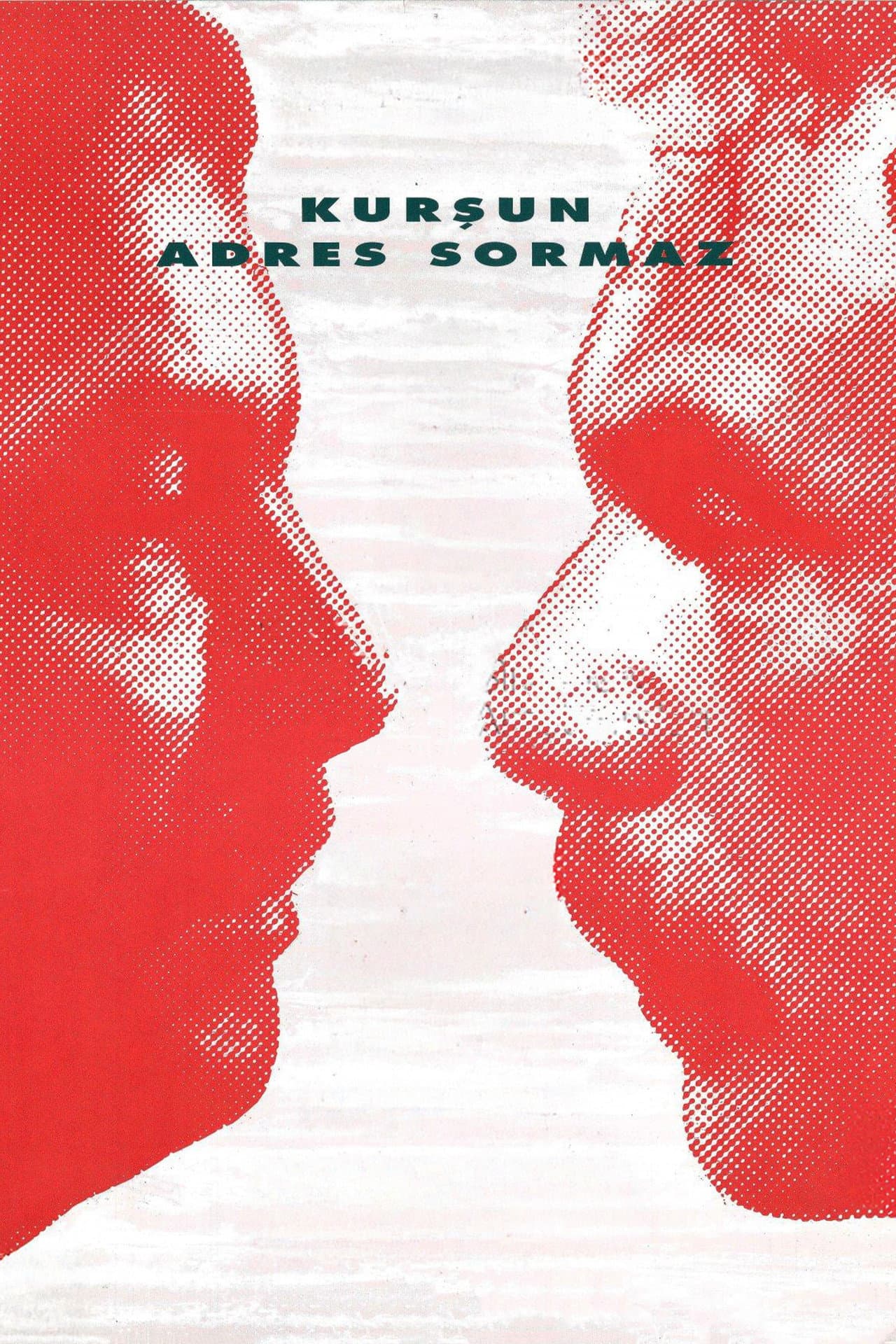 Kurşun Adres Sormaz preview 2