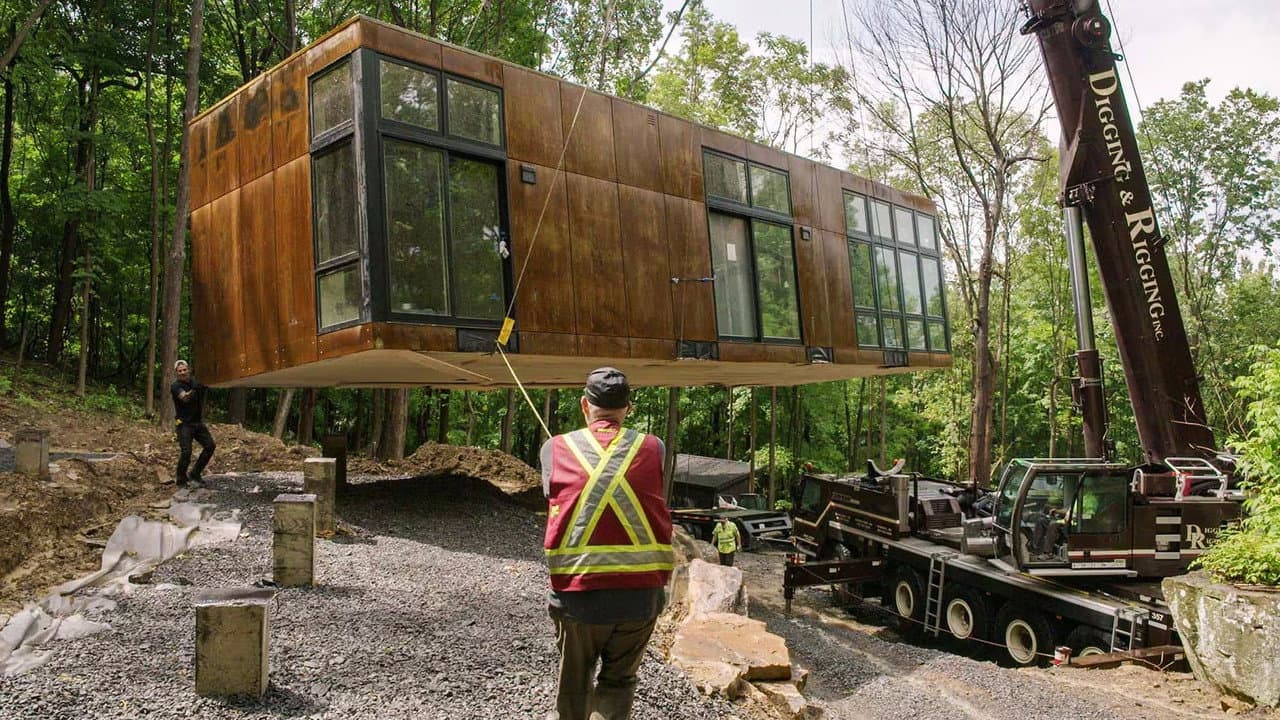Wild Homes