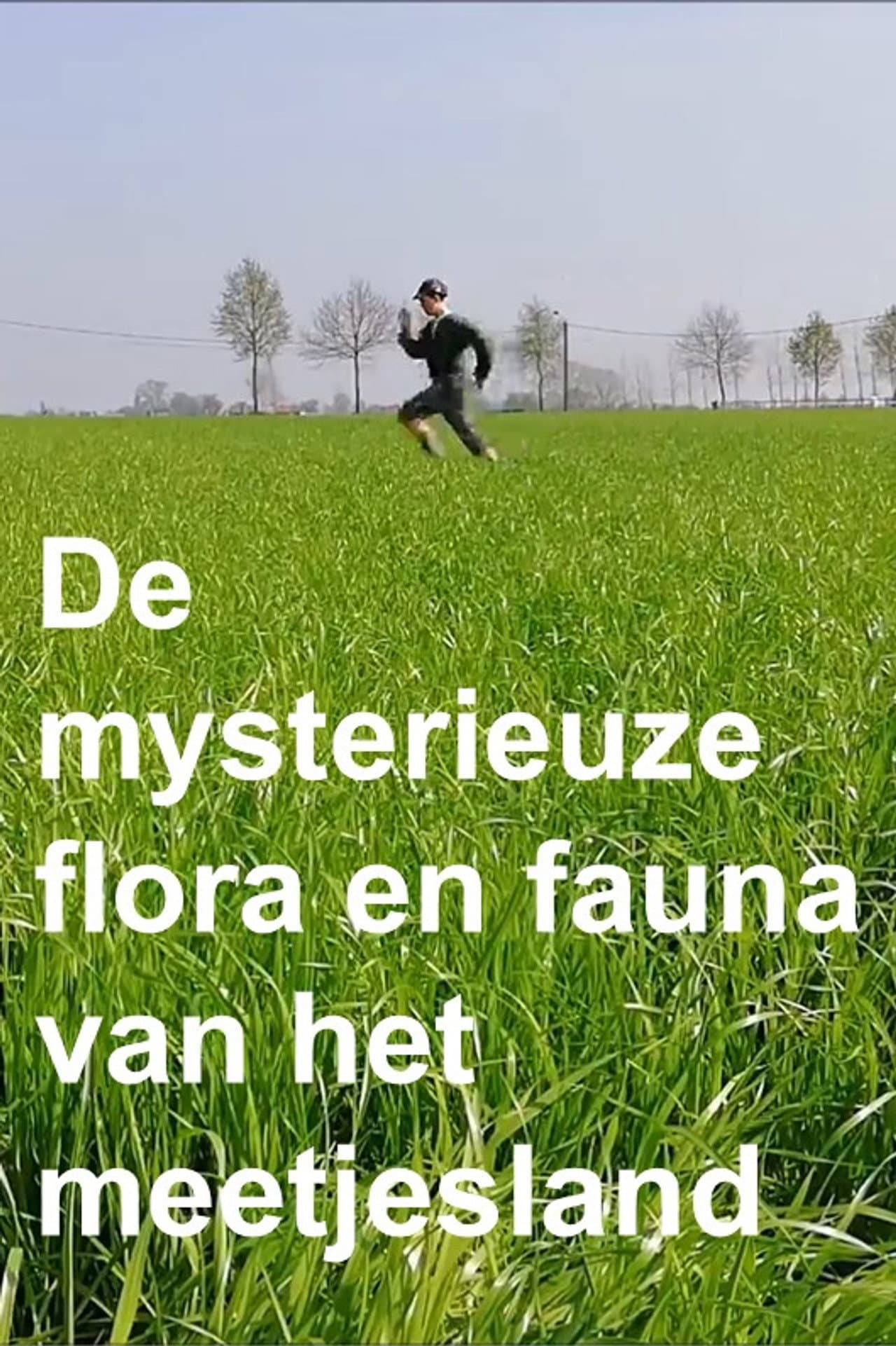 The mysterious flora and fauna of the Meetjesland preview 2