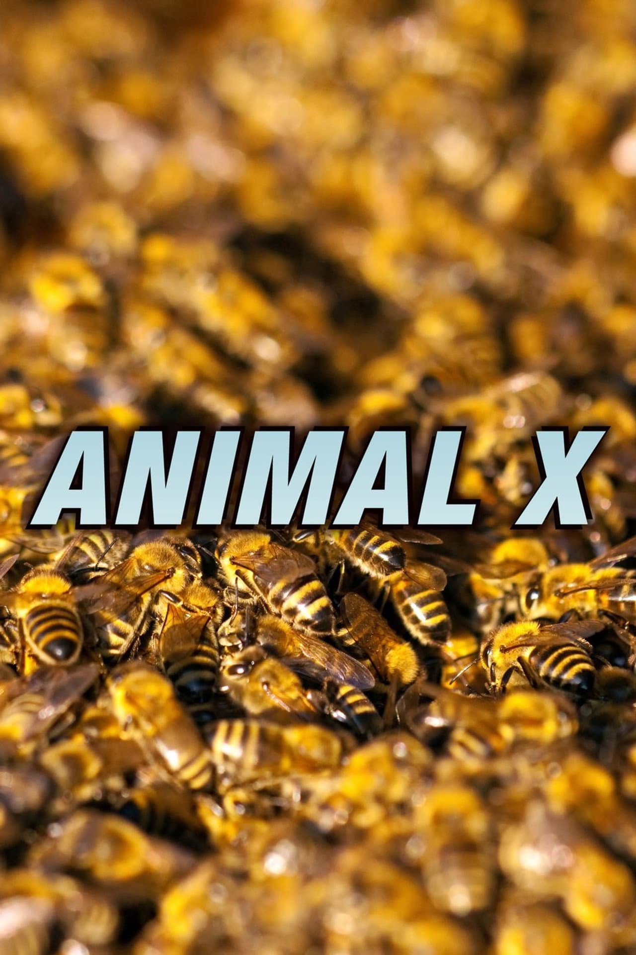 Animal X preview 1