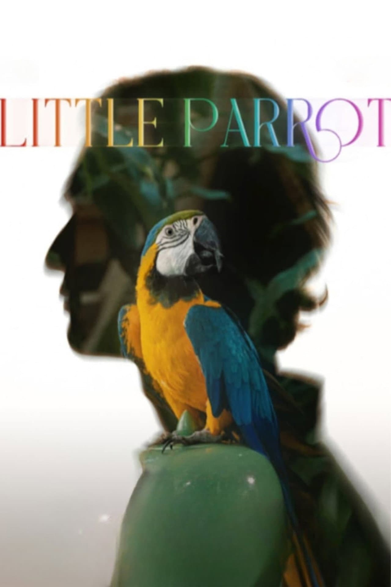 Little Parrot preview 2