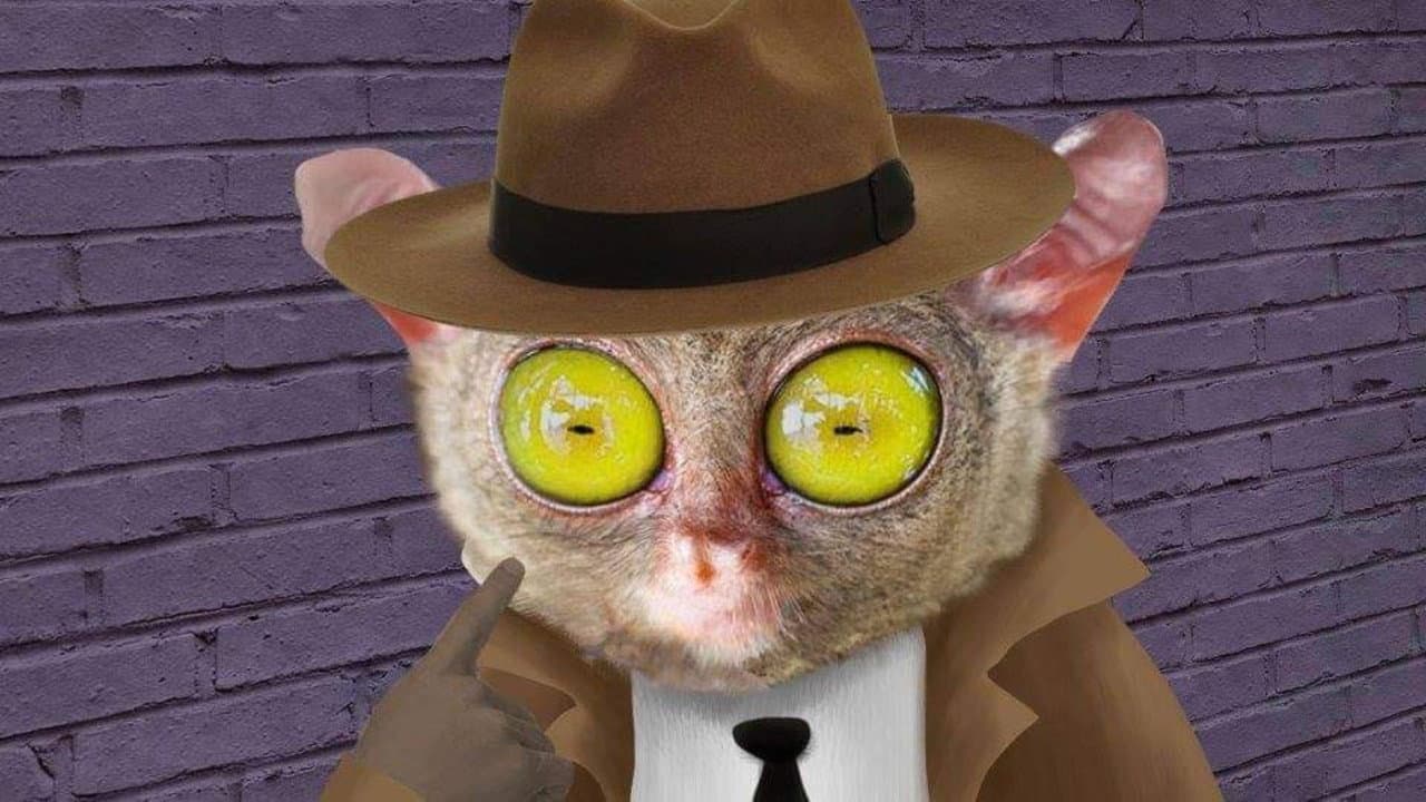 Lorenzo Delgado, Private Investigator