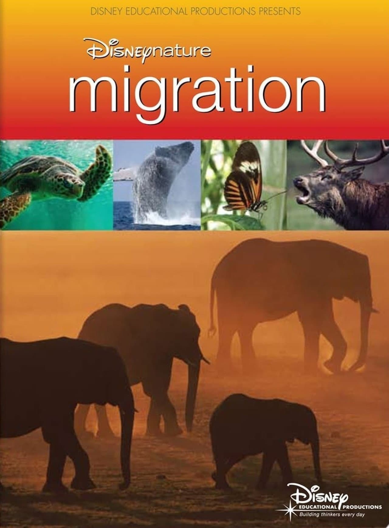 Disneynature: Migration preview 2