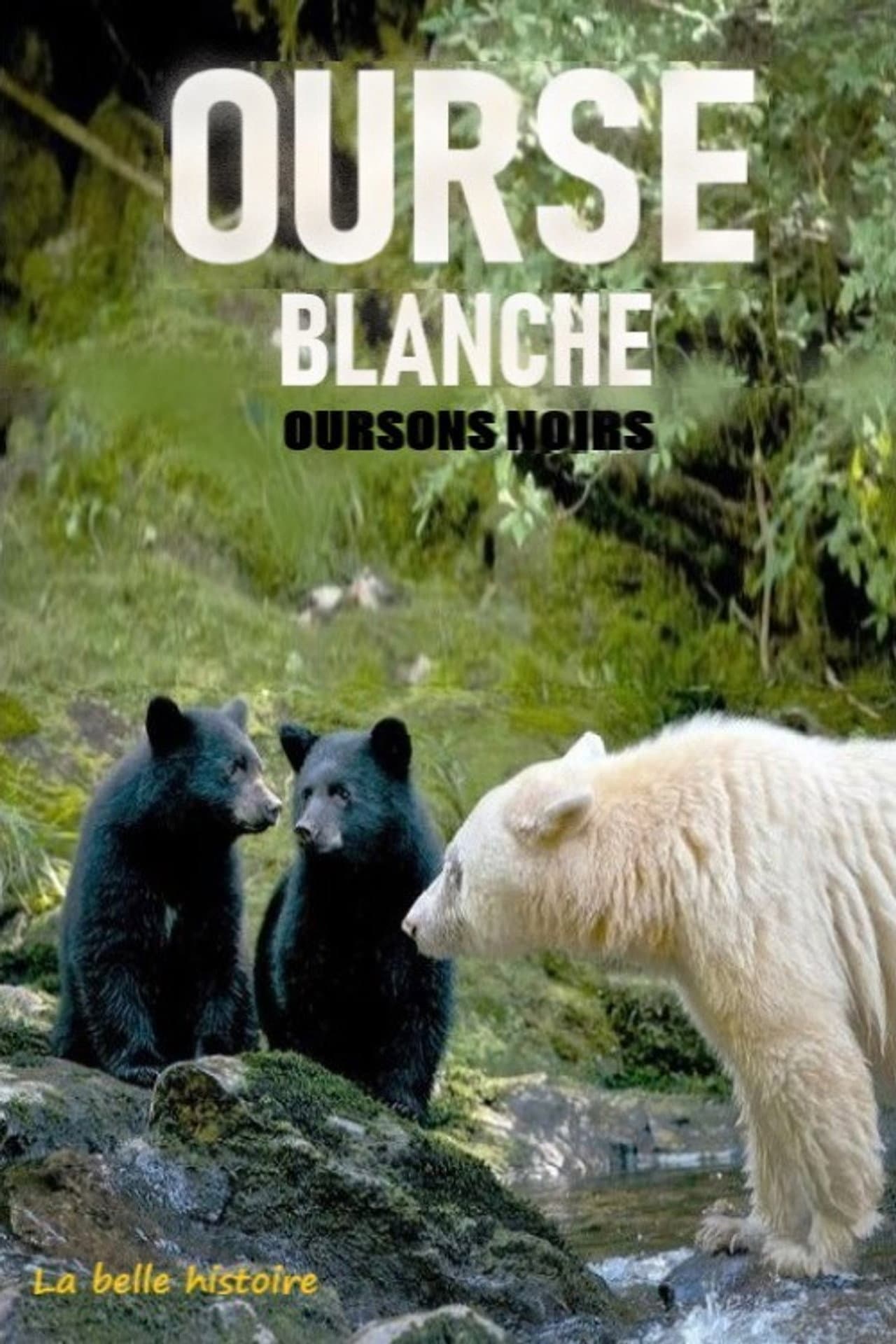 Ourse blanche, oursons noirs : la belle histoire preview 2