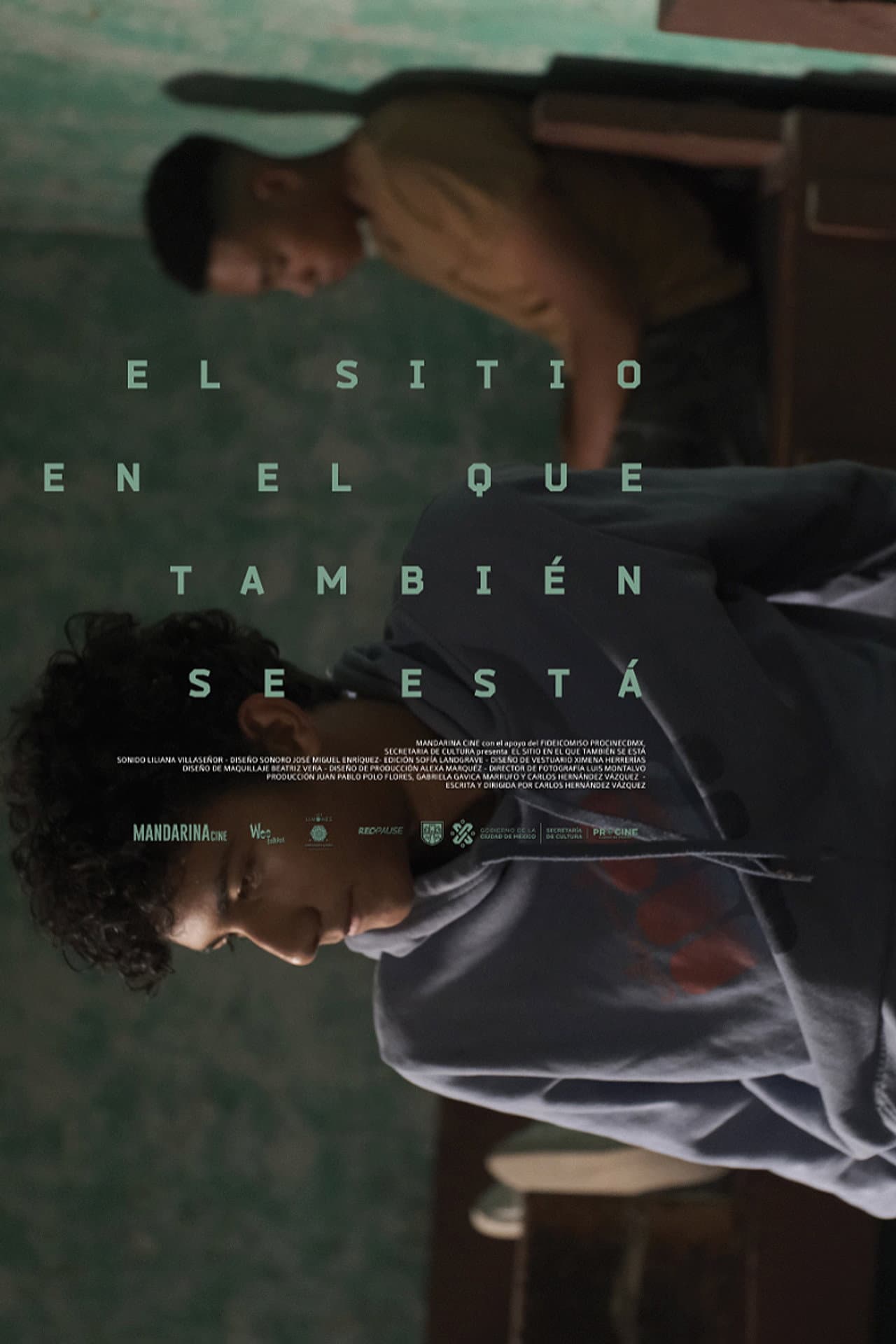 El sitio en el que también se está preview 2