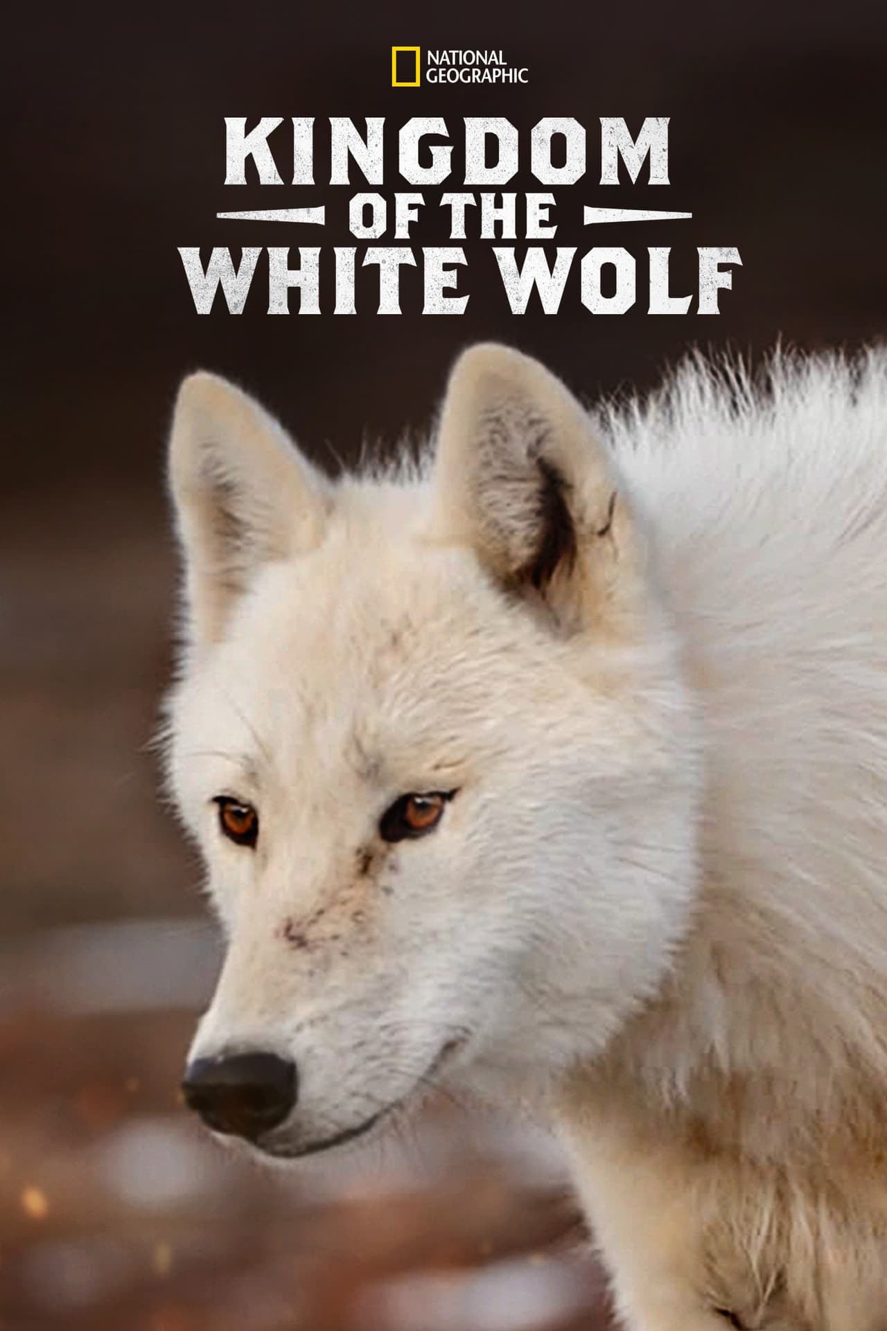 Kingdom of the White Wolf preview 2