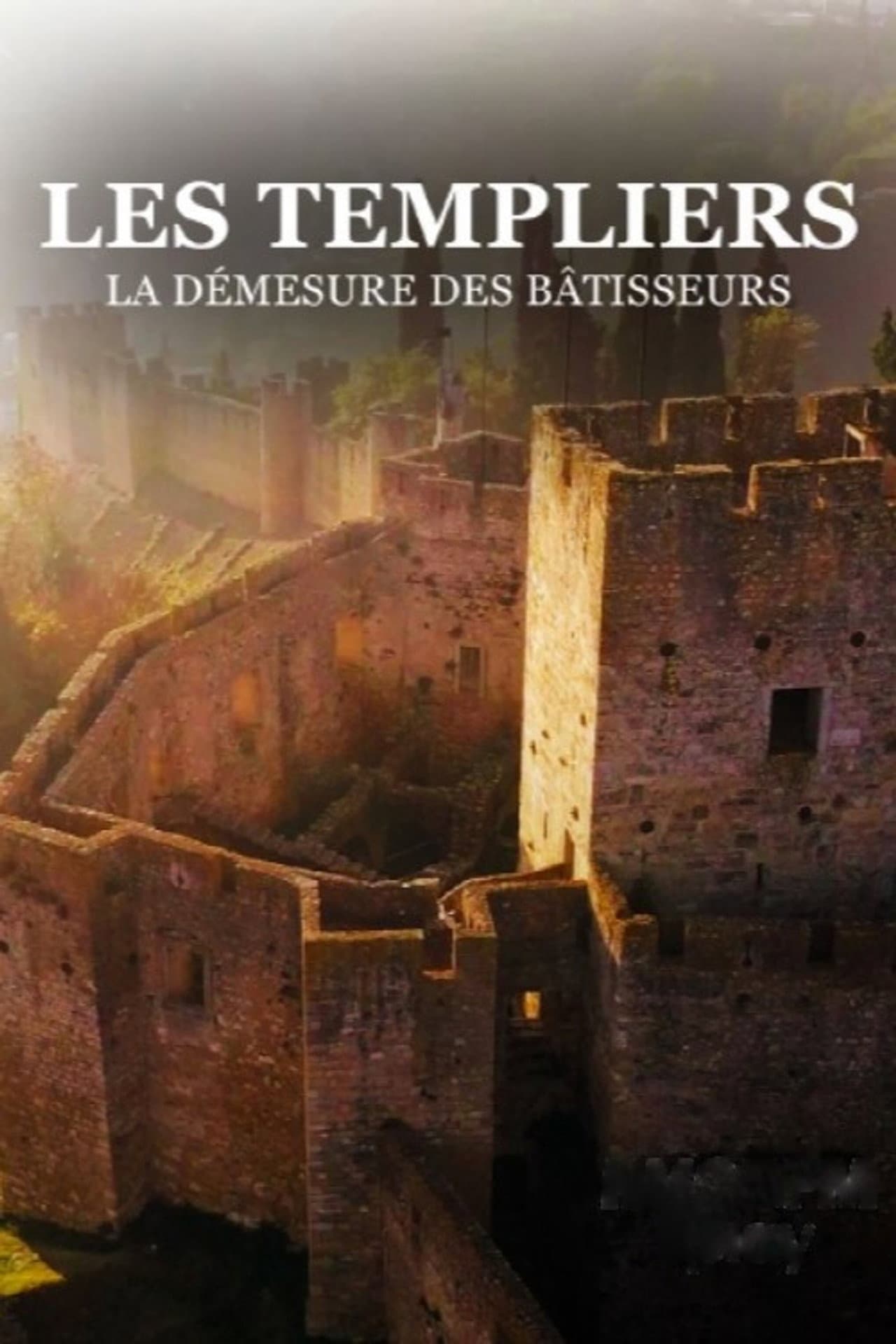 Les templiers, la démesure des Batisseurs preview 1